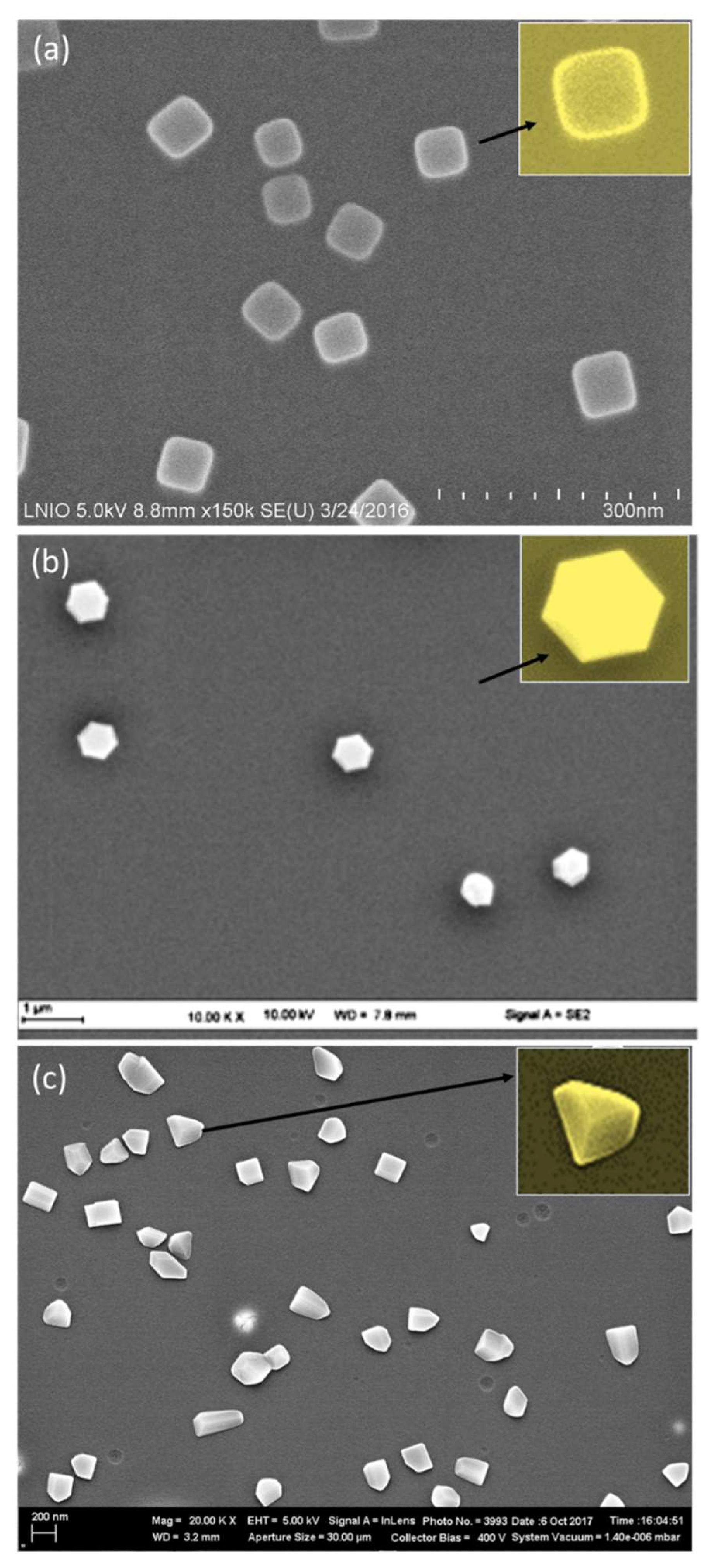 Nanomaterials 11 01806 g004