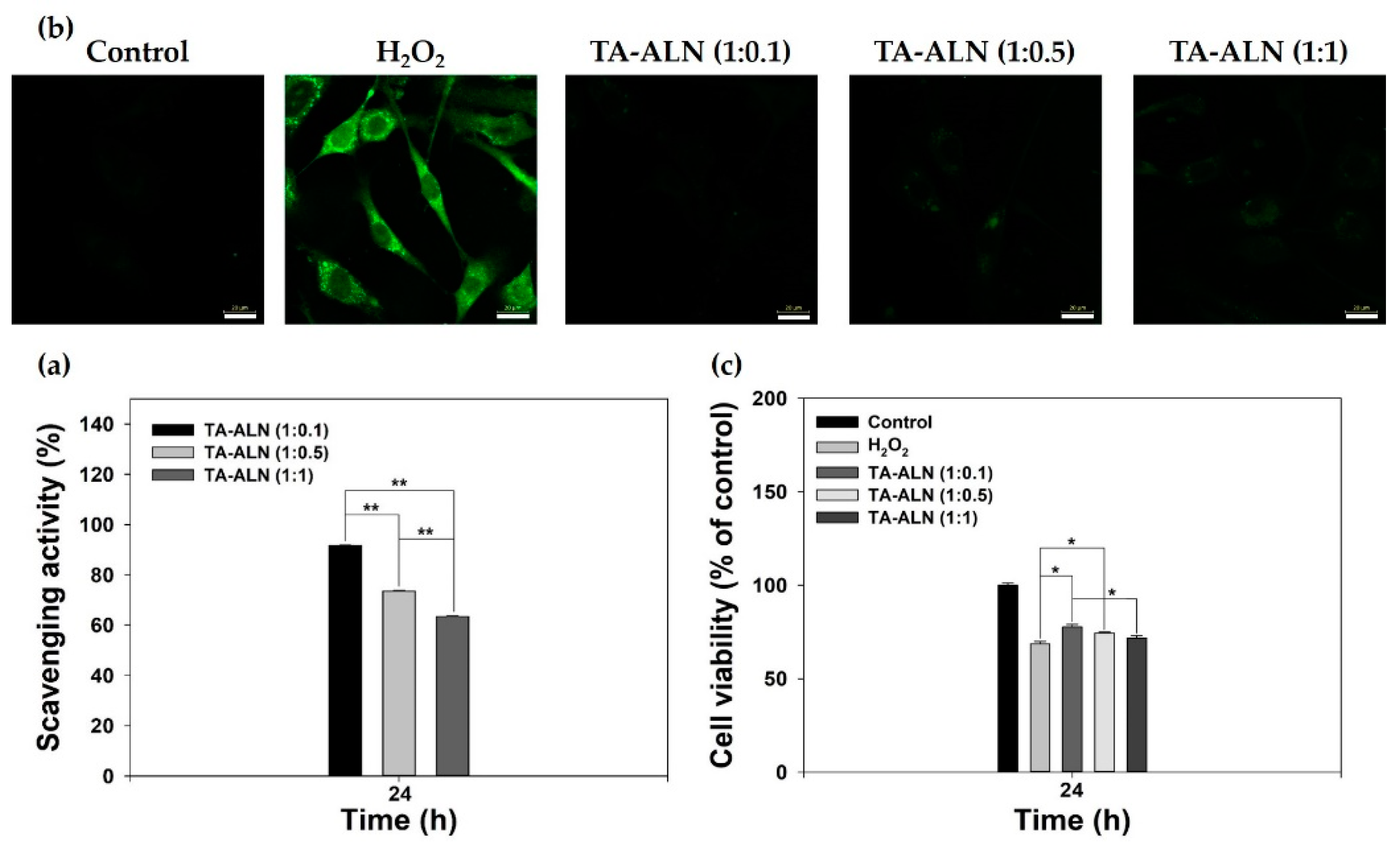 Nanomaterials 11 01812 g003