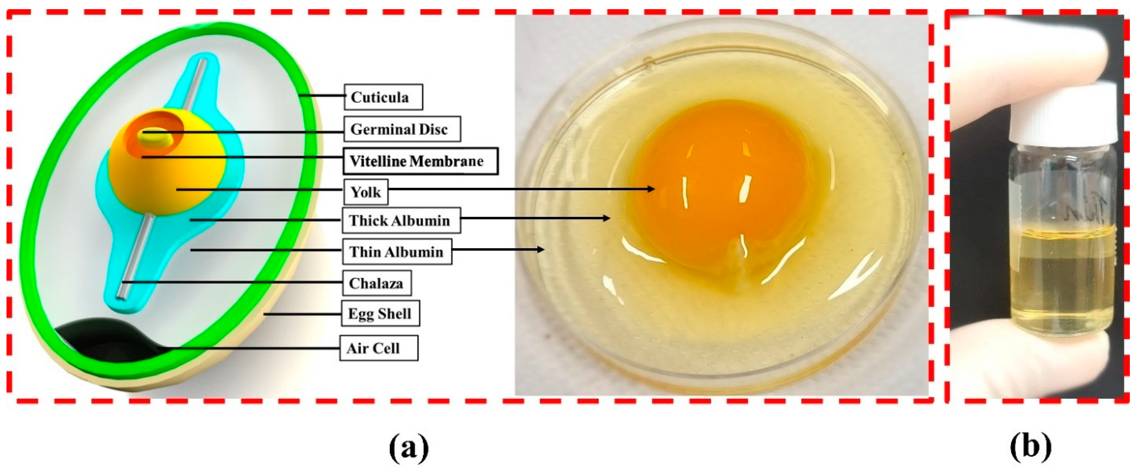 Nanomaterials 11 01815 g001 Nanomaterials 11 01815 g001