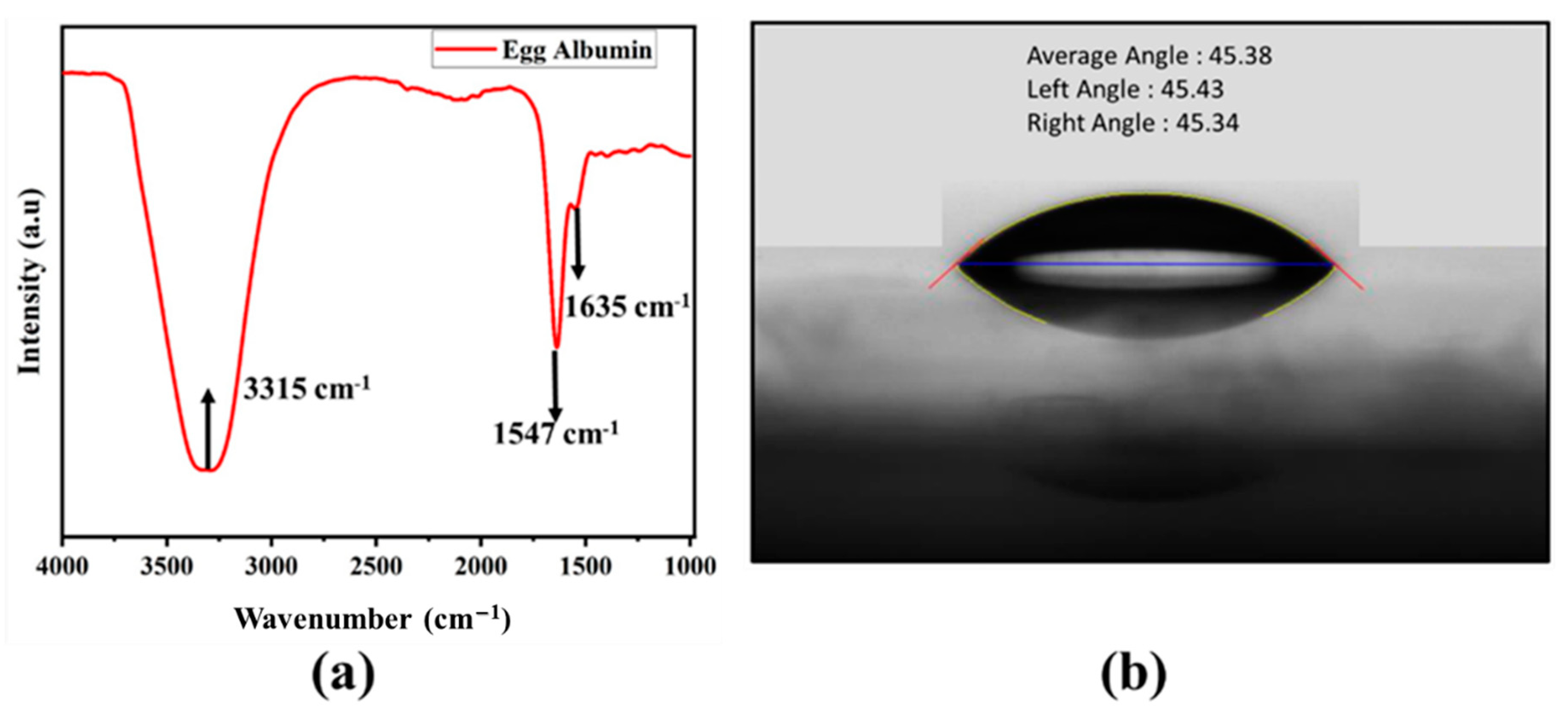 Nanomaterials 11 01815 g005 Nanomaterials 11 01815 g005