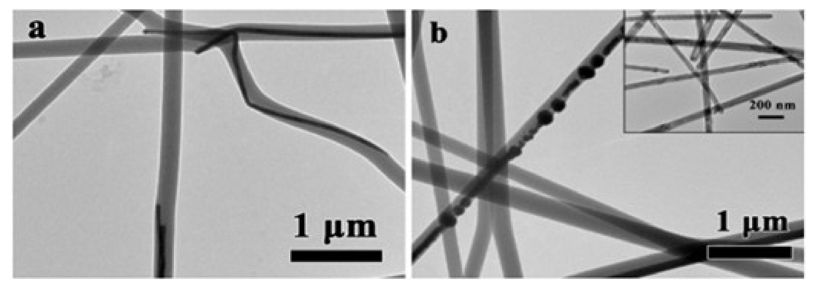 Nanomaterials 11 01822 g002