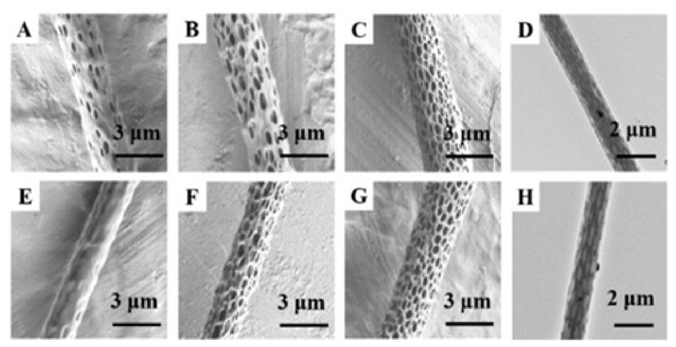 Nanomaterials 11 01822 g005