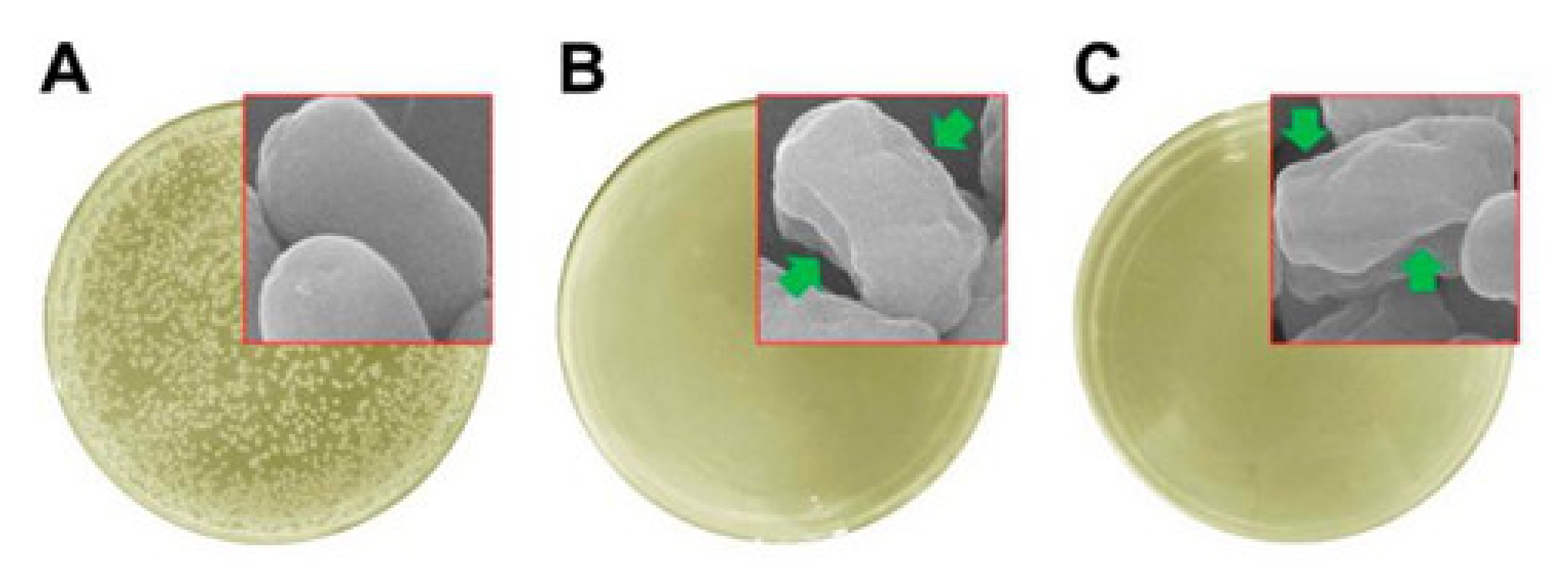 Nanomaterials 11 01822 g006