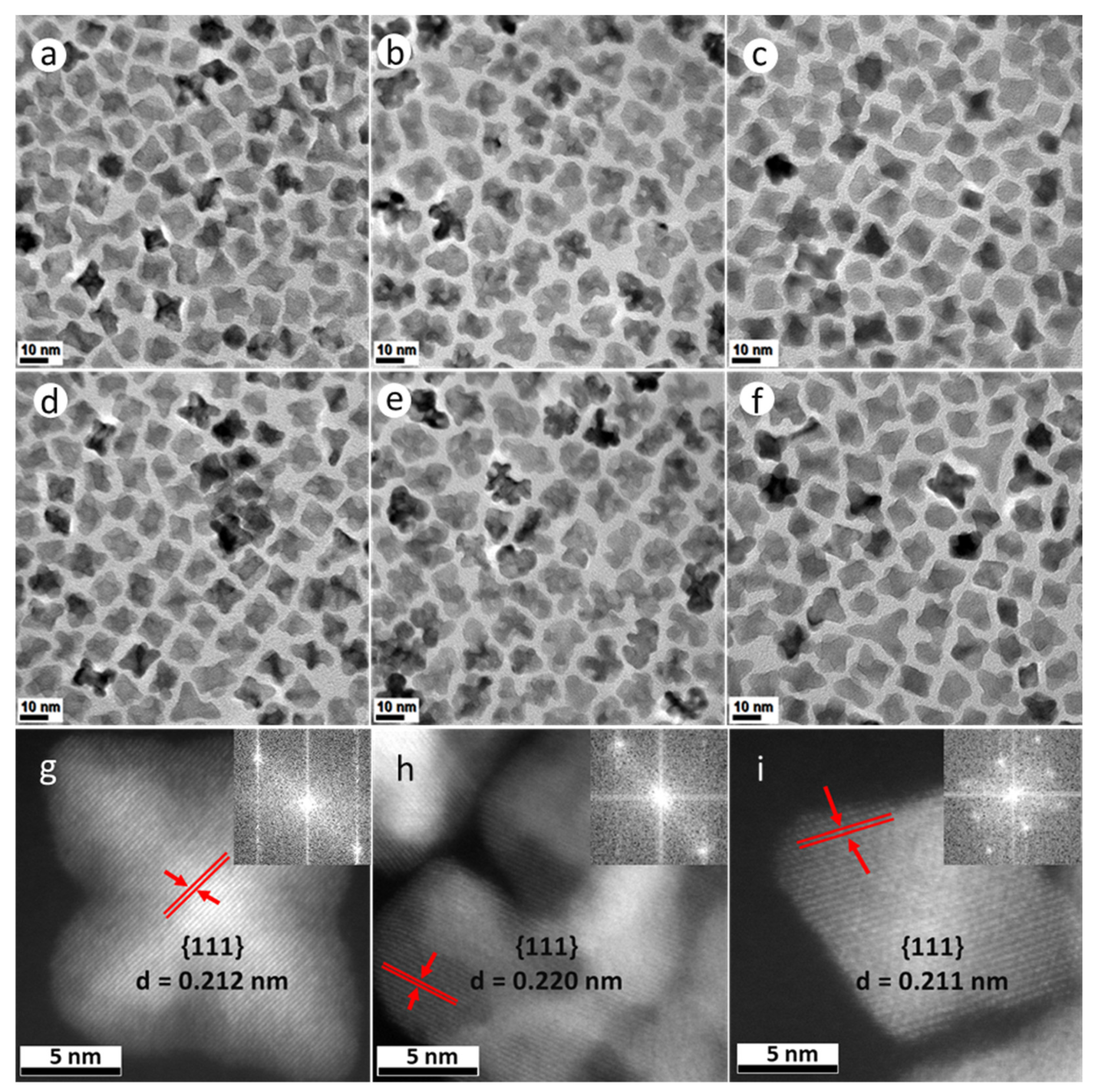 Nanomaterials 11 01825 g001