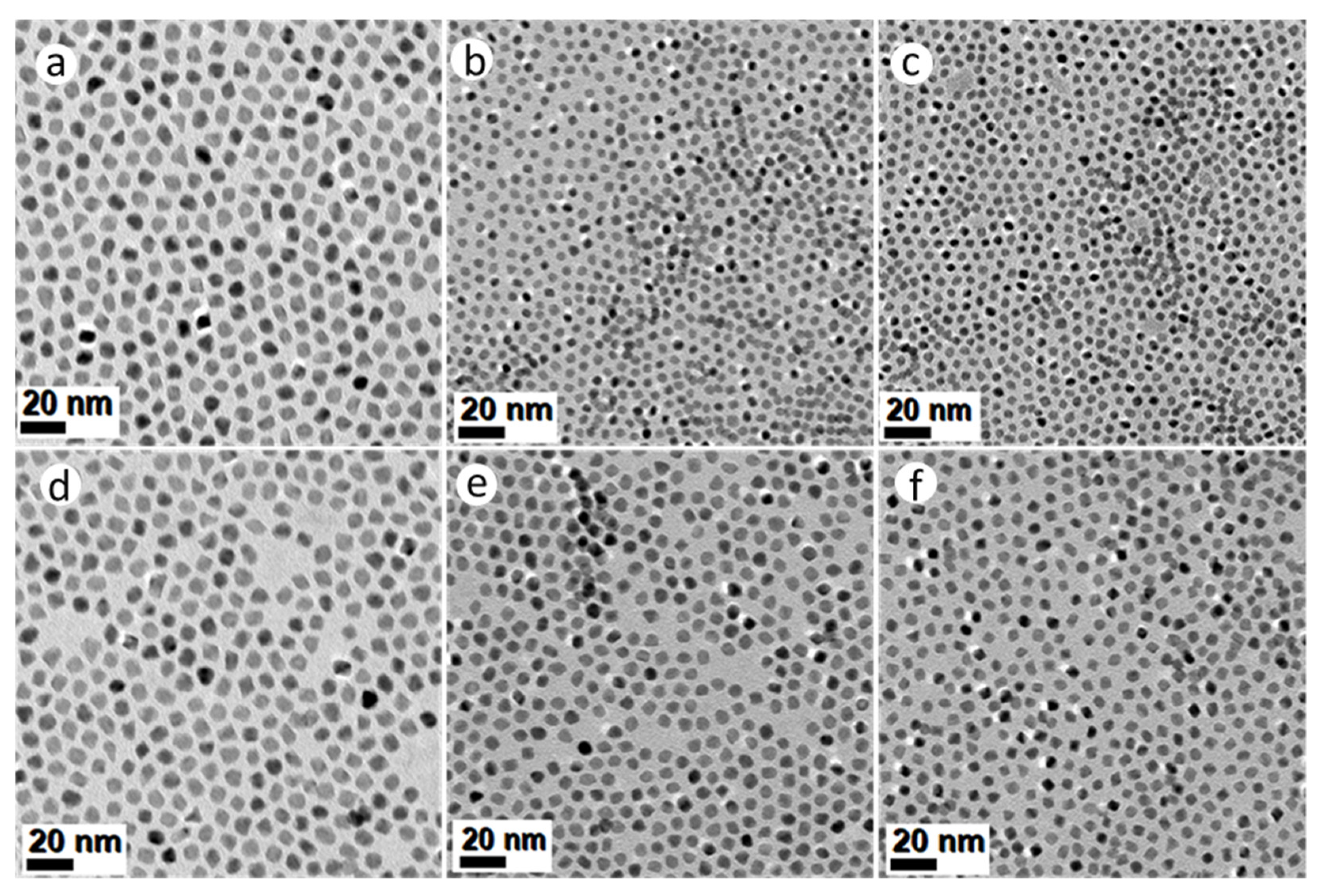 Nanomaterials 11 01825 g003