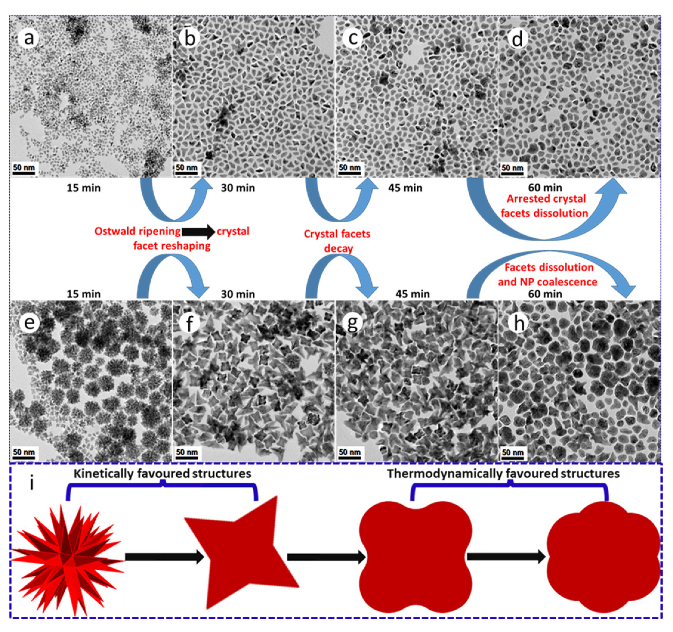 Nanomaterials 11 01825 g005