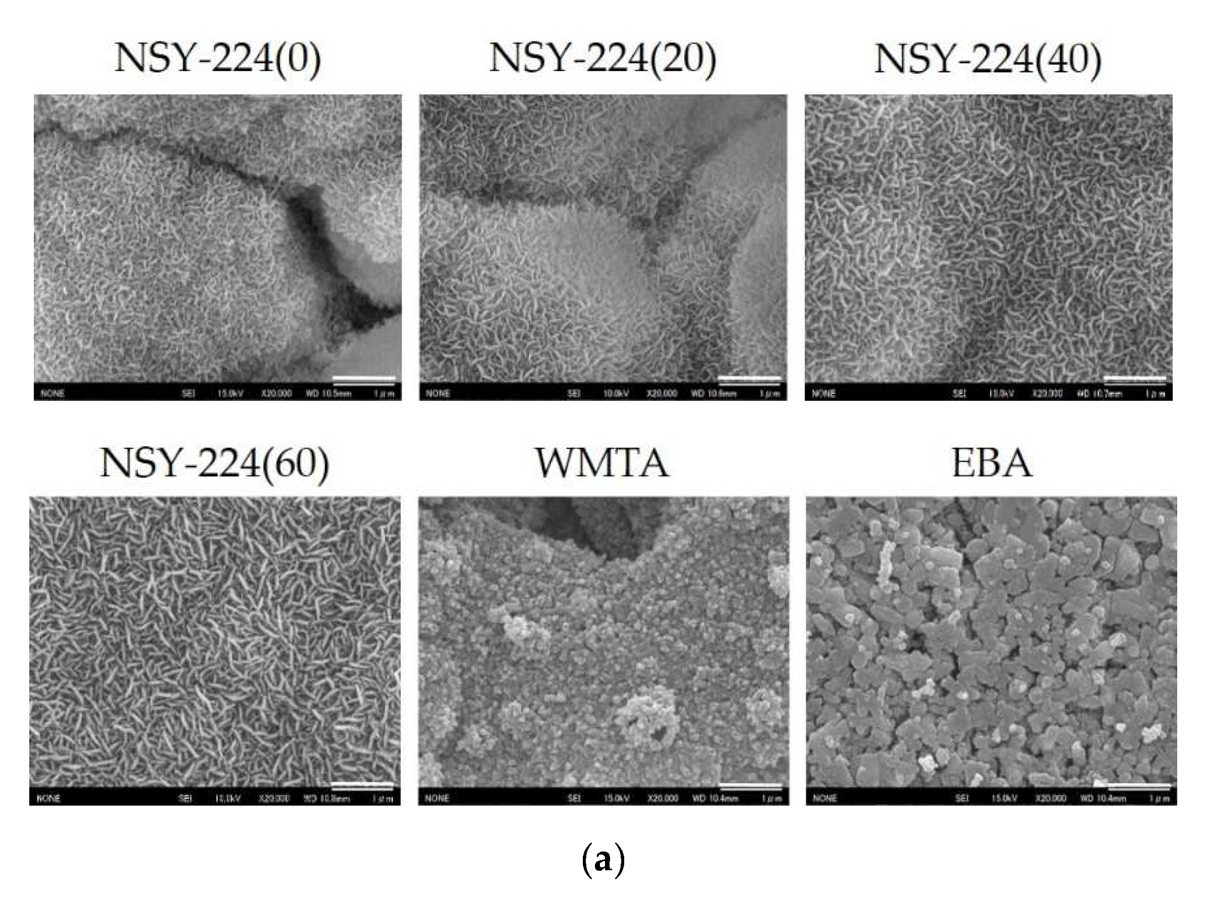 Nanomaterials 11 01828 g001a