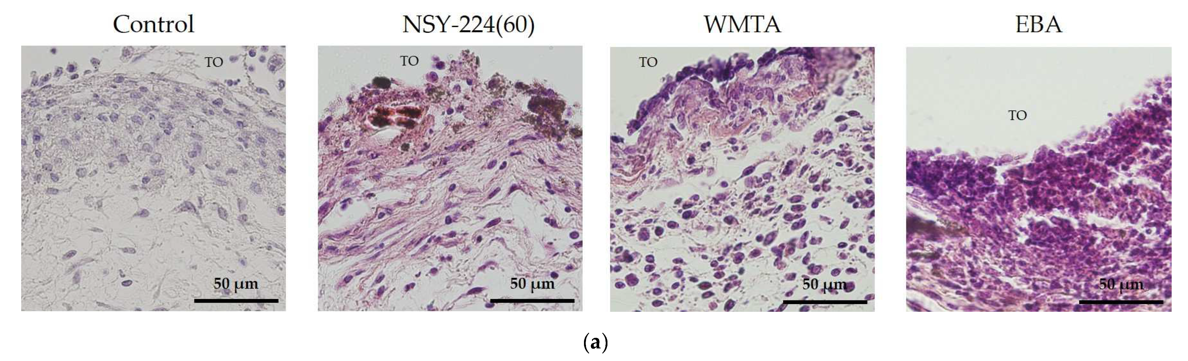 Nanomaterials 11 01828 g005a
