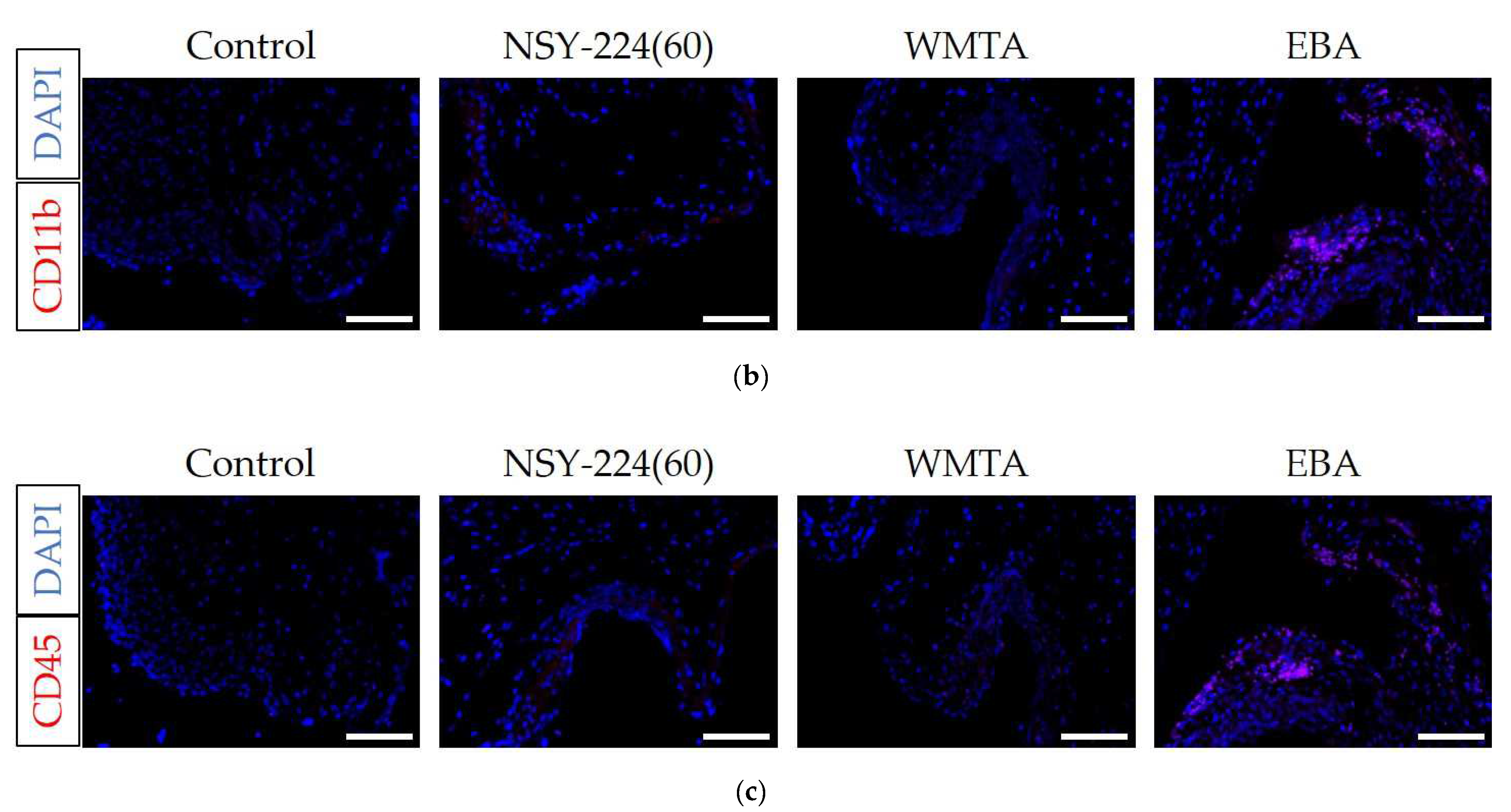 Nanomaterials 11 01828 g005b