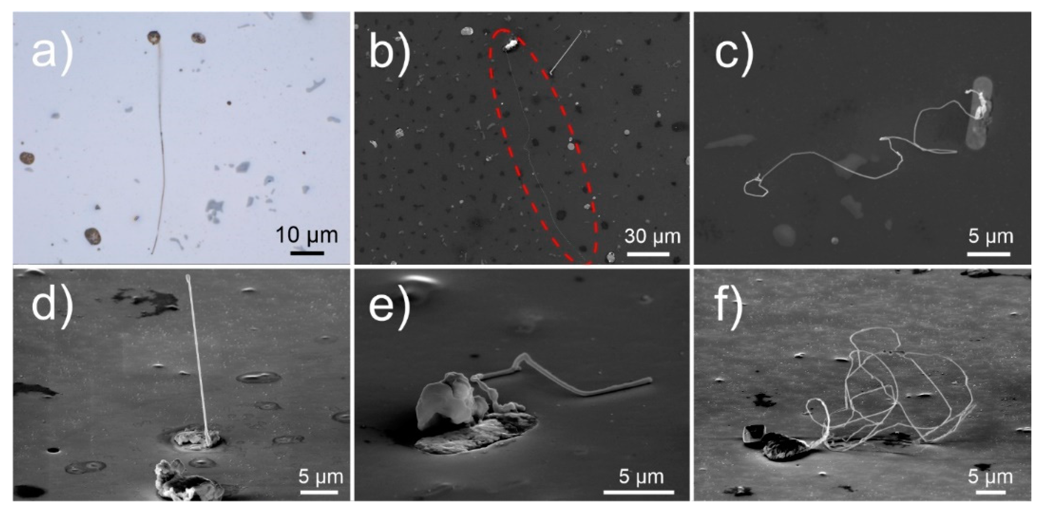 Nanomaterials 11 01842 g001