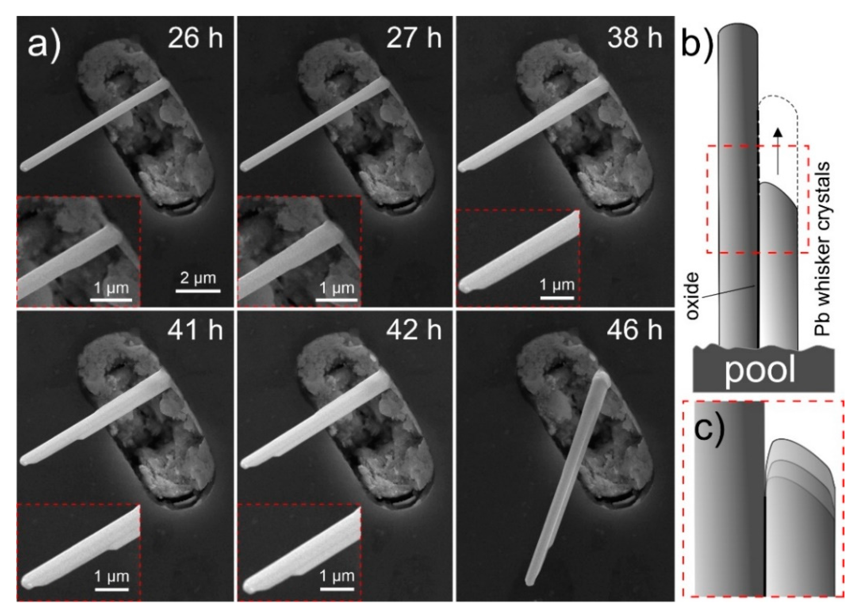 Nanomaterials 11 01842 g003