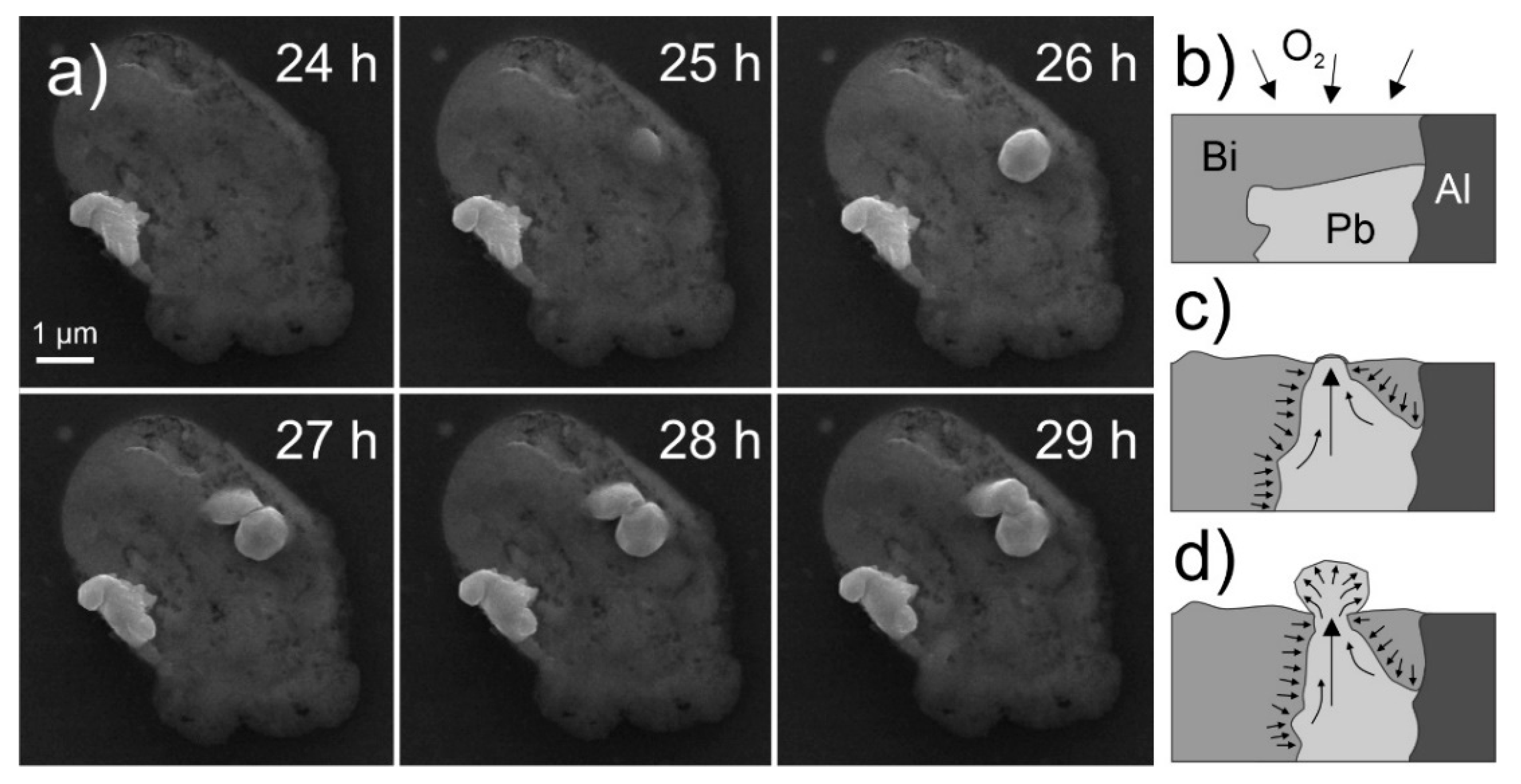 Nanomaterials 11 01842 g008