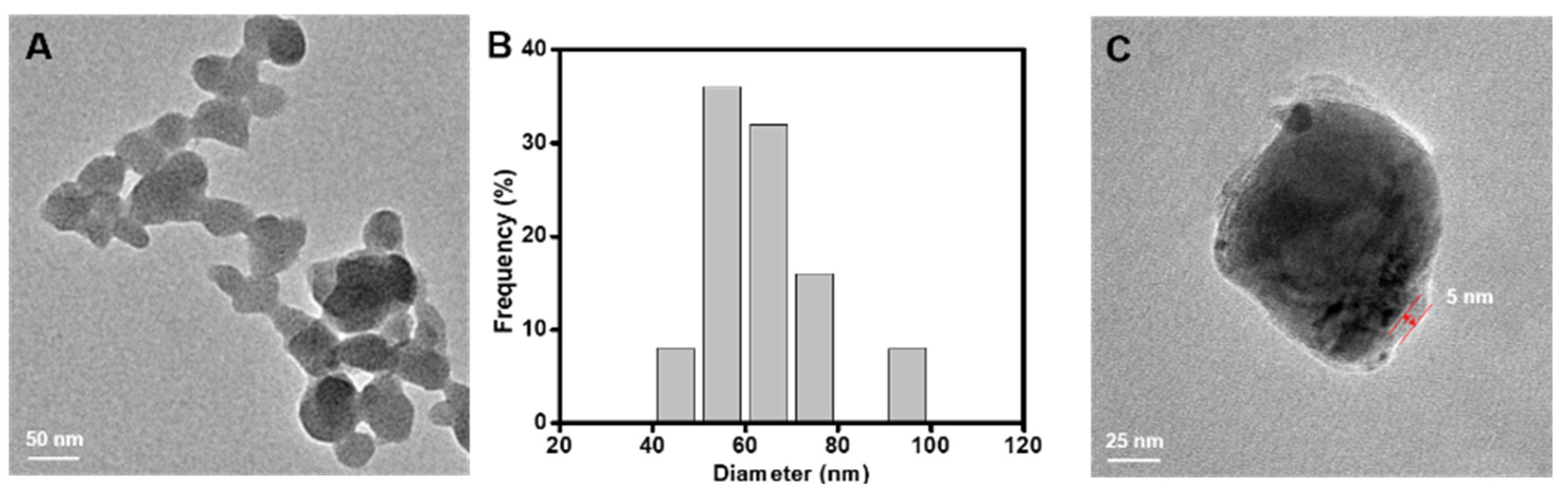 Nanomaterials 11 01843 g002 Nanomaterials 11 01843 g002