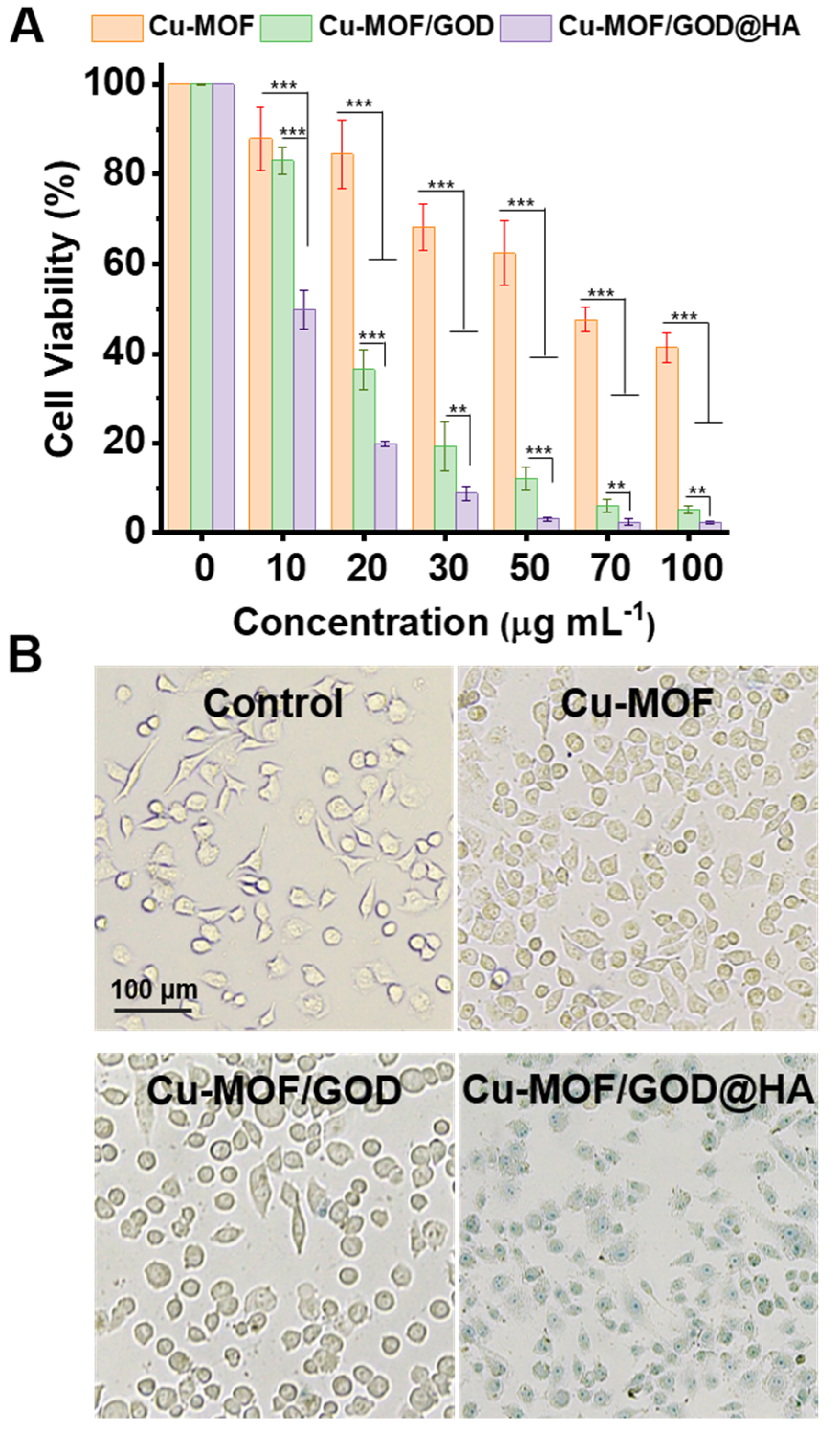 Nanomaterials 11 01843 g005 Nanomaterials 11 01843 g005