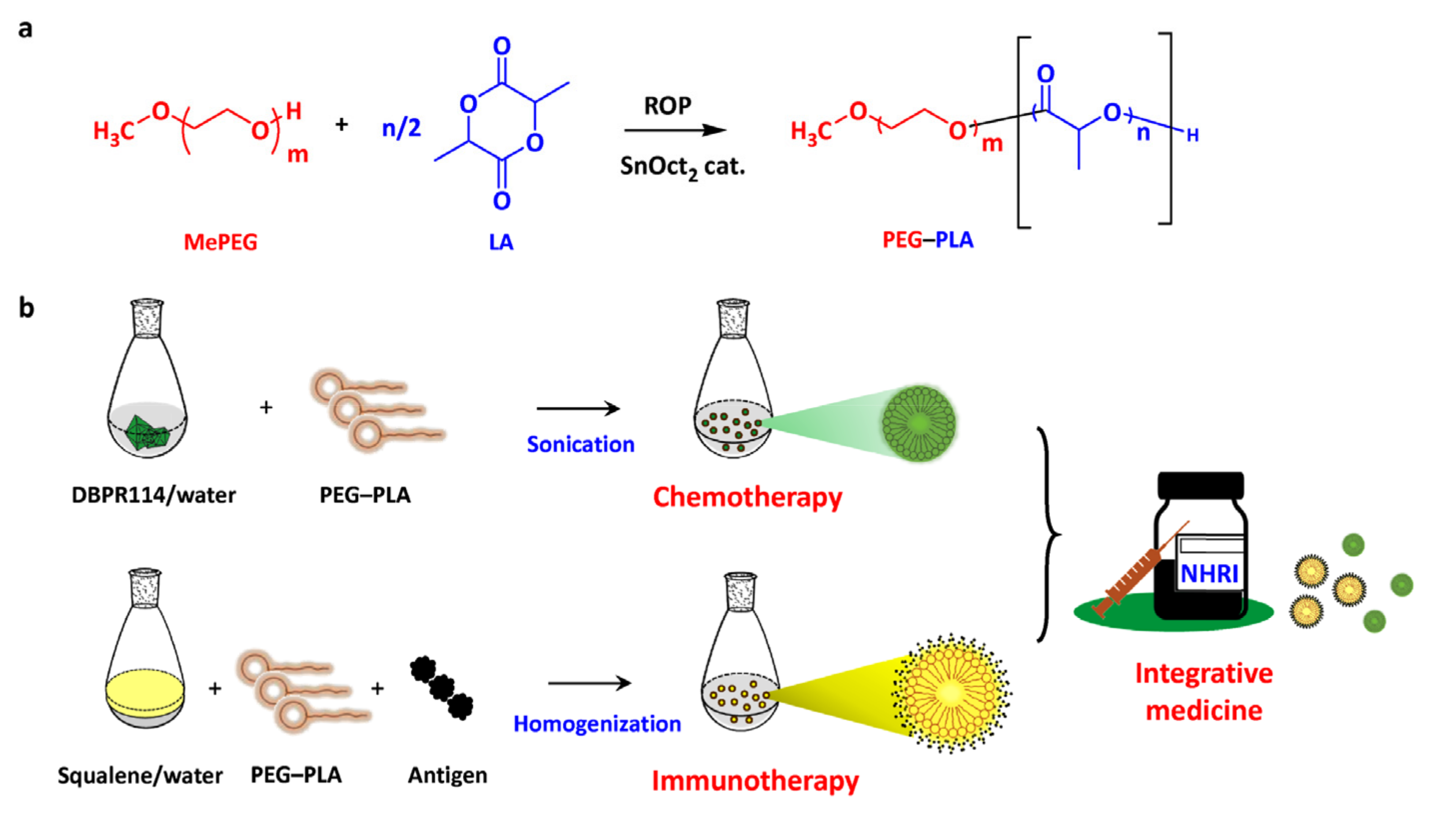 Nanomaterials 11 01844 g001