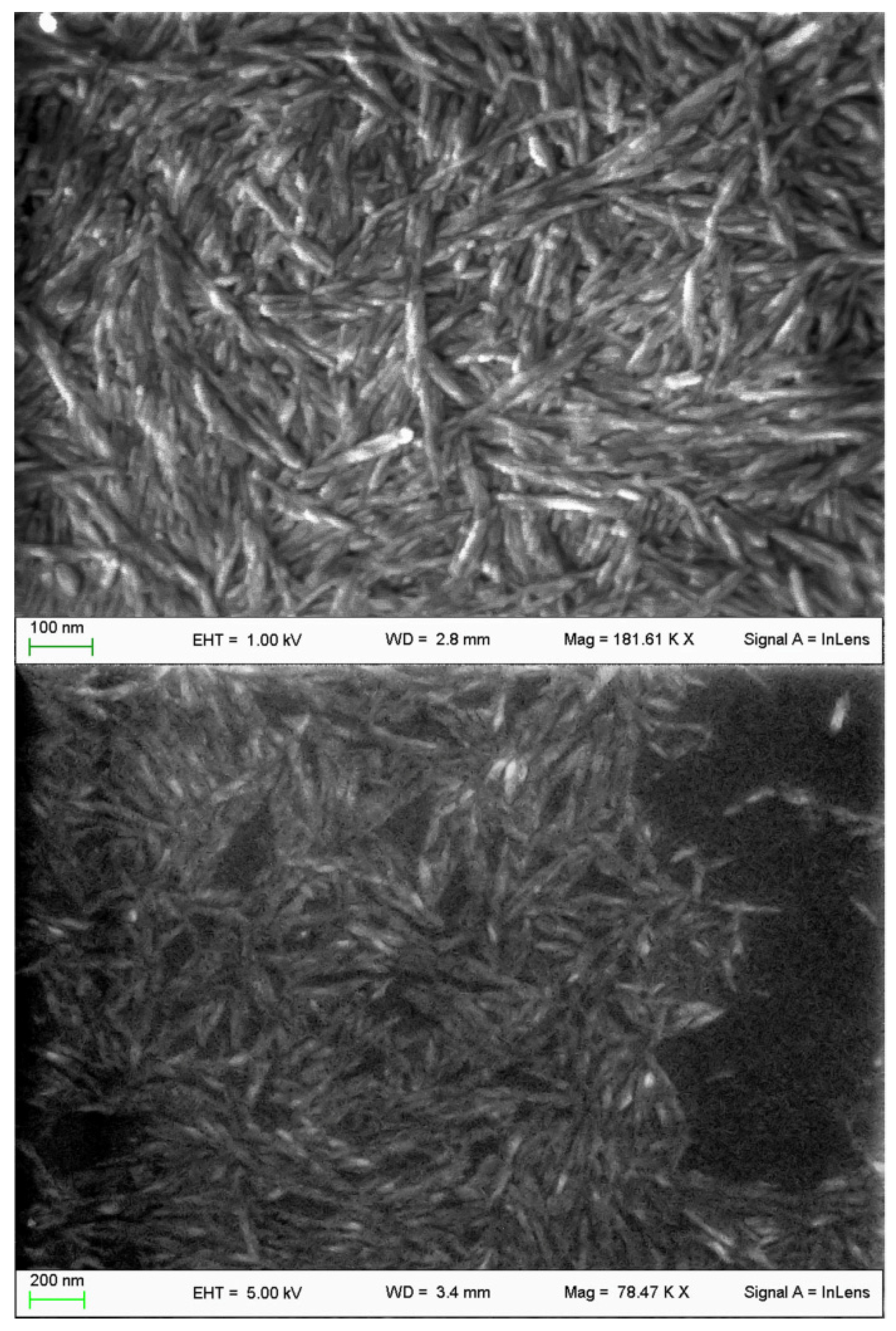 Nanomaterials 11 01852 g001