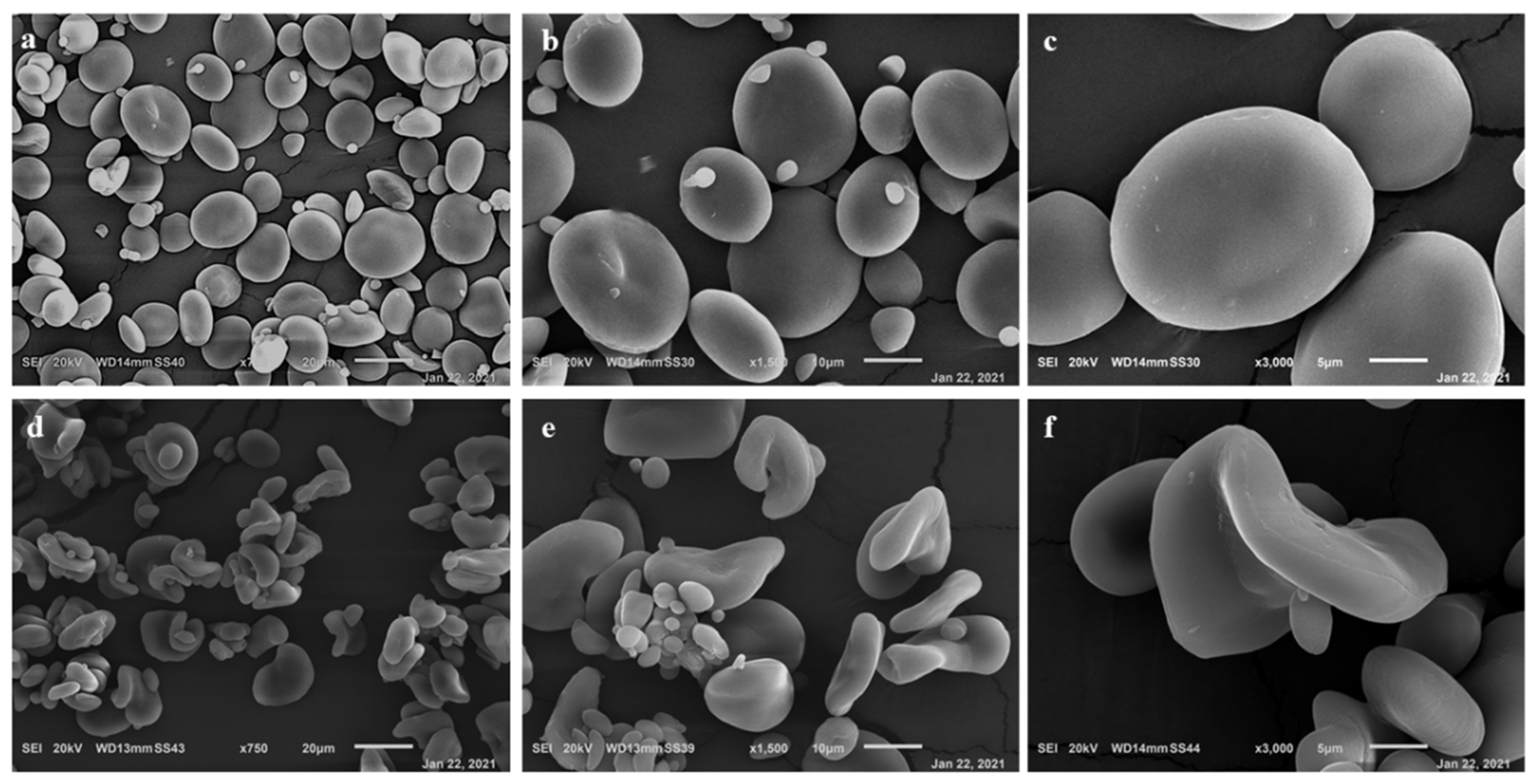 Nanomaterials 11 01852 g002