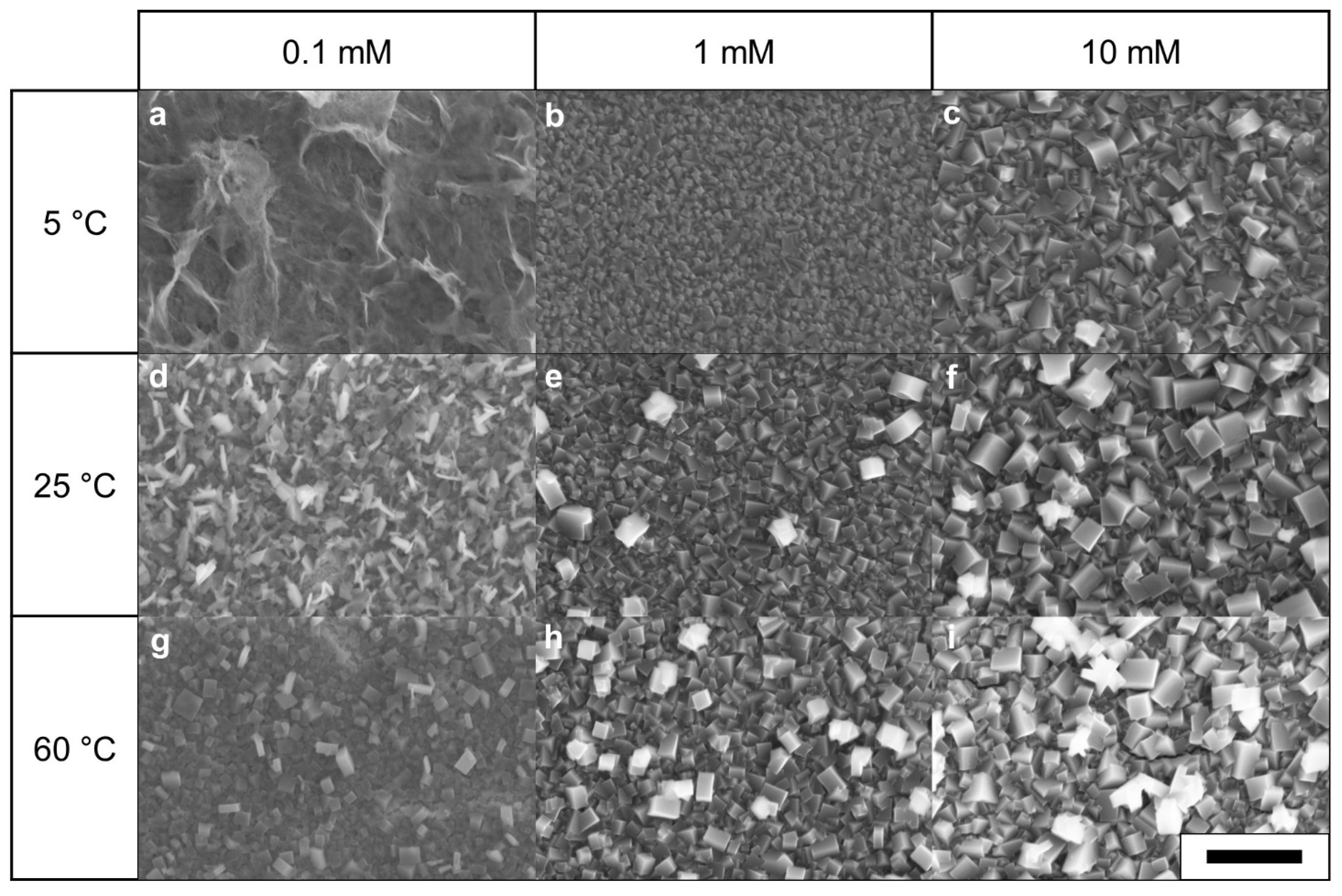 Nanomaterials 11 01860 g003