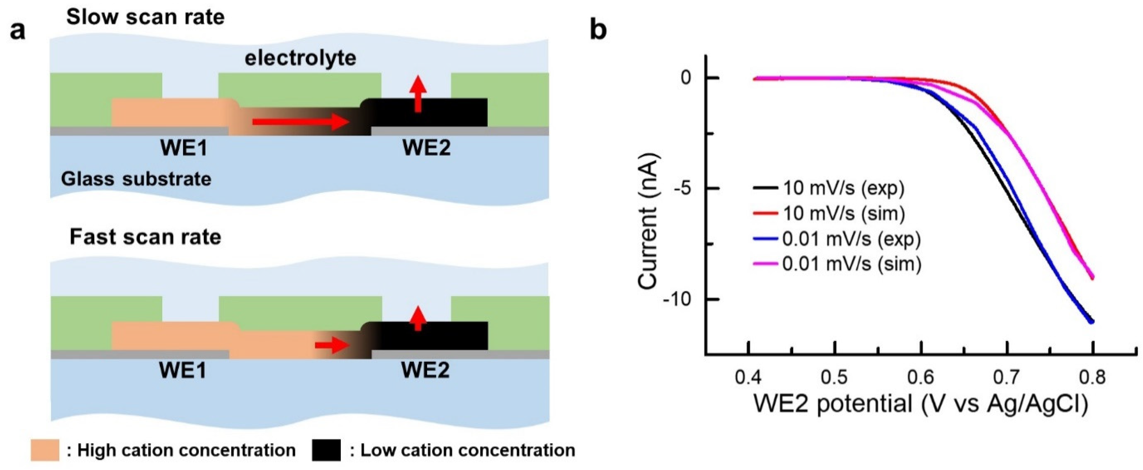Nanomaterials 11 01860 g007