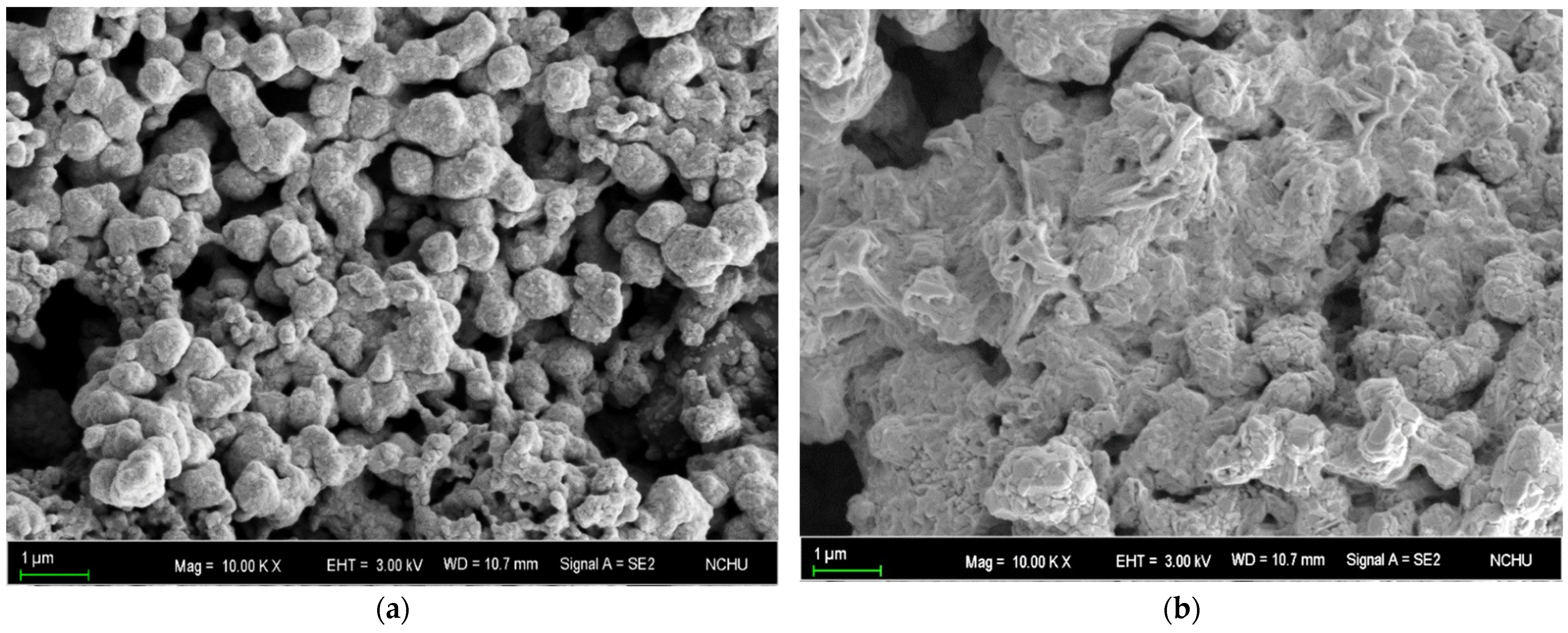Nanomaterials 11 01864 g006