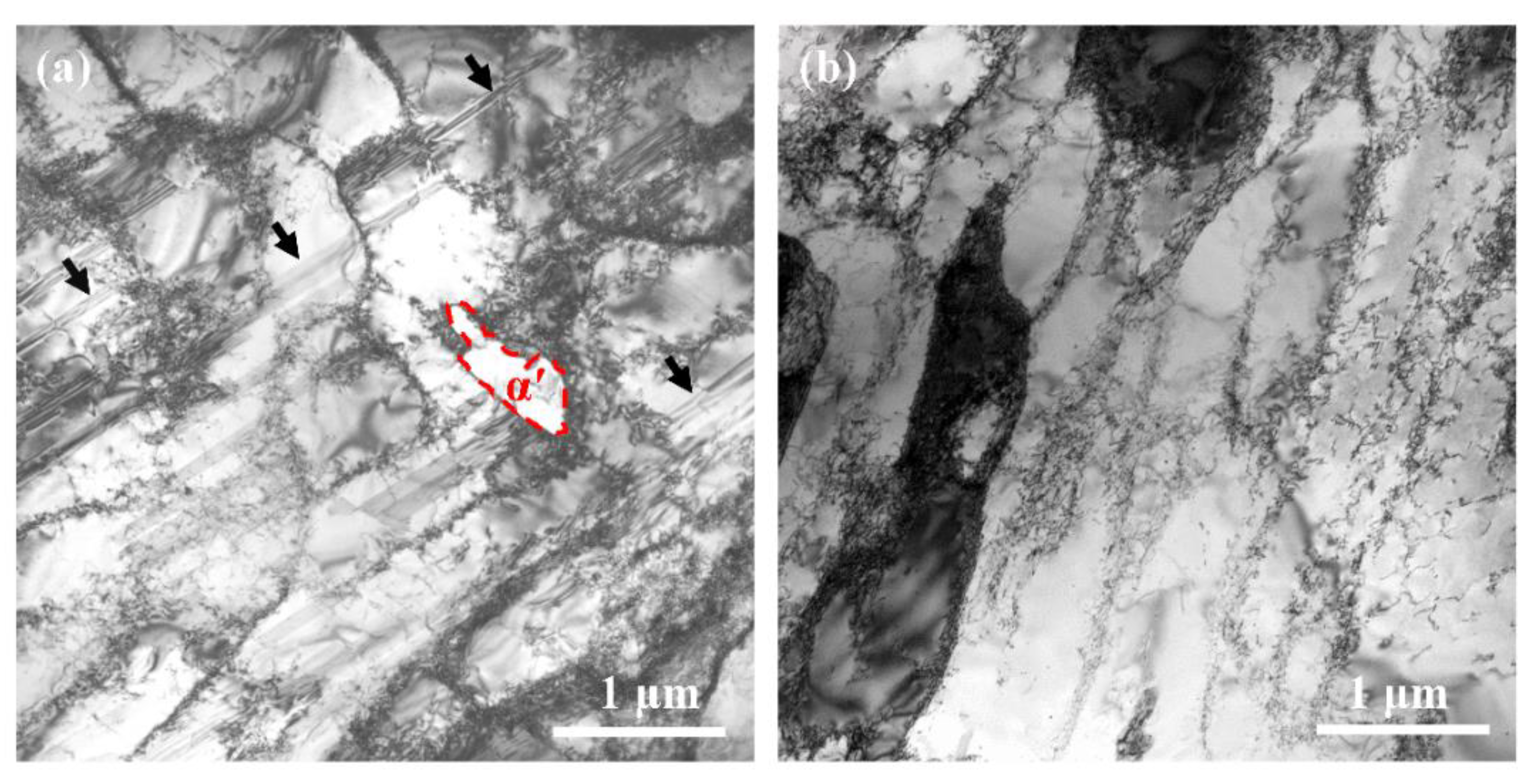 Nanomaterials 11 01870 g008
