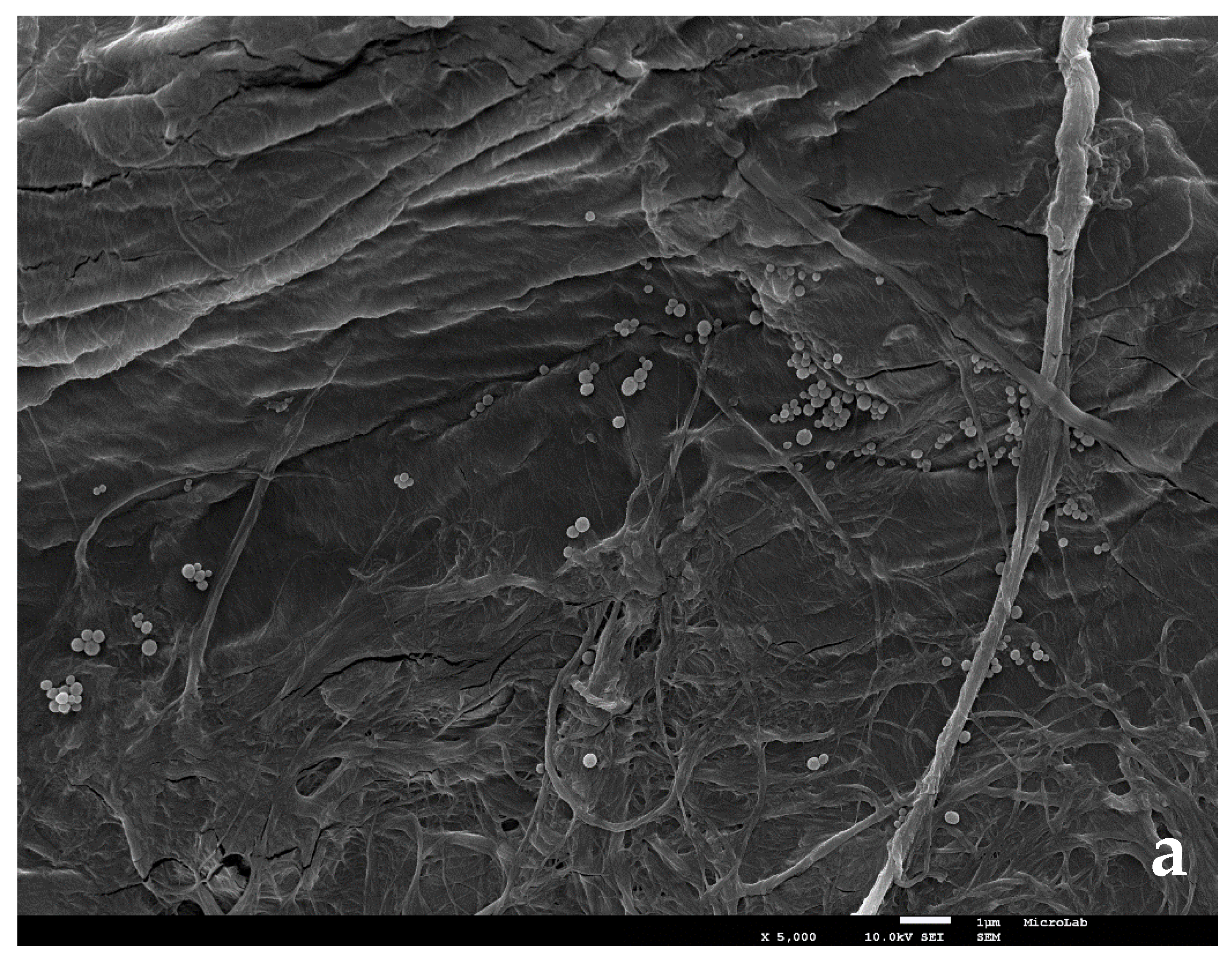 Nanomaterials 11 01871 g003a Nanomaterials 11 01871 g003a