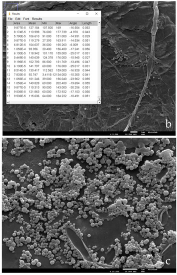 Nanomaterials 11 01871 g003b Nanomaterials 11 01871 g003b