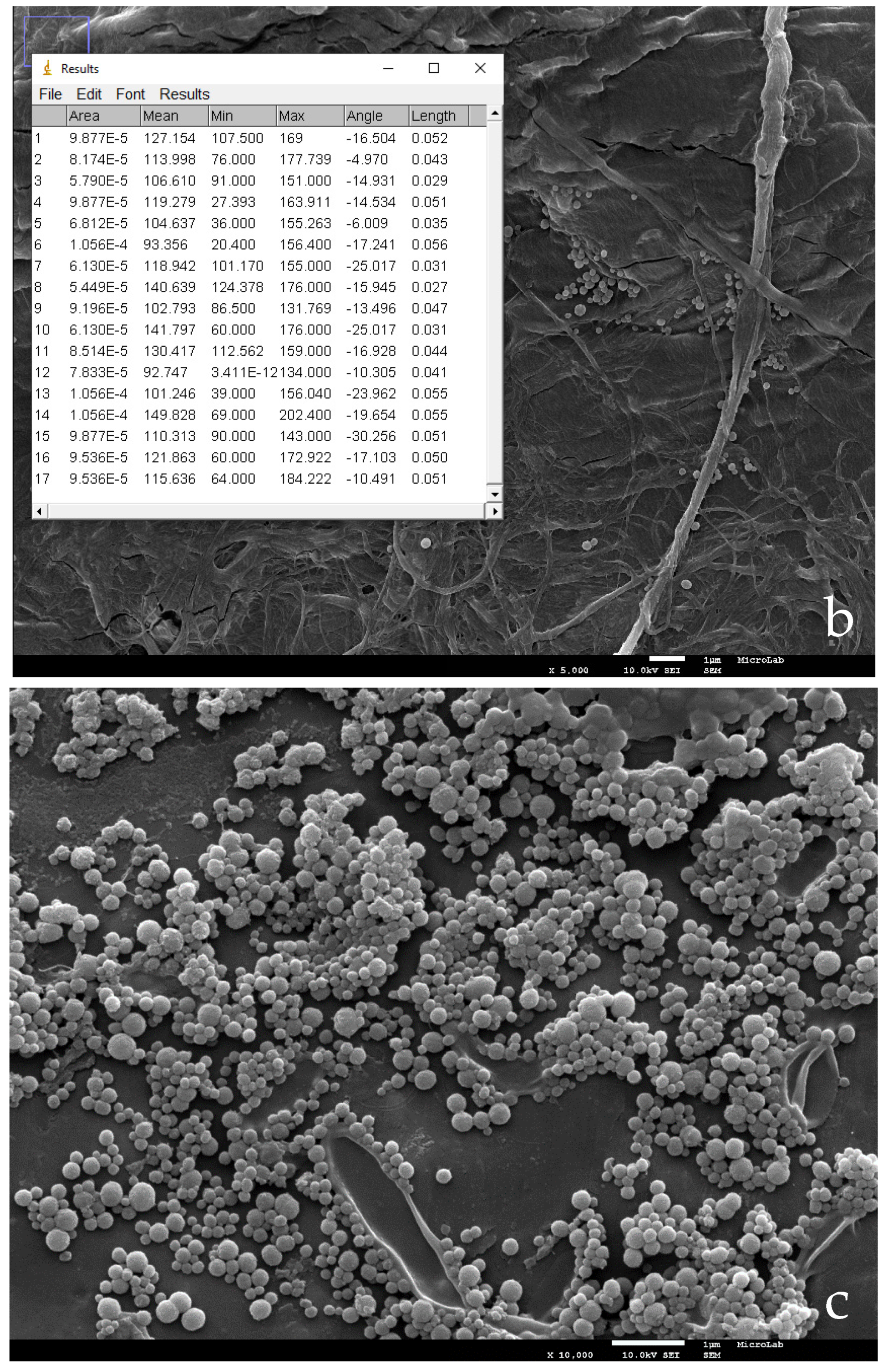 Nanomaterials 11 01871 g003b Nanomaterials 11 01871 g003b