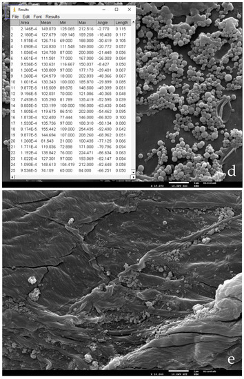 Nanomaterials 11 01871 g003c Nanomaterials 11 01871 g003c