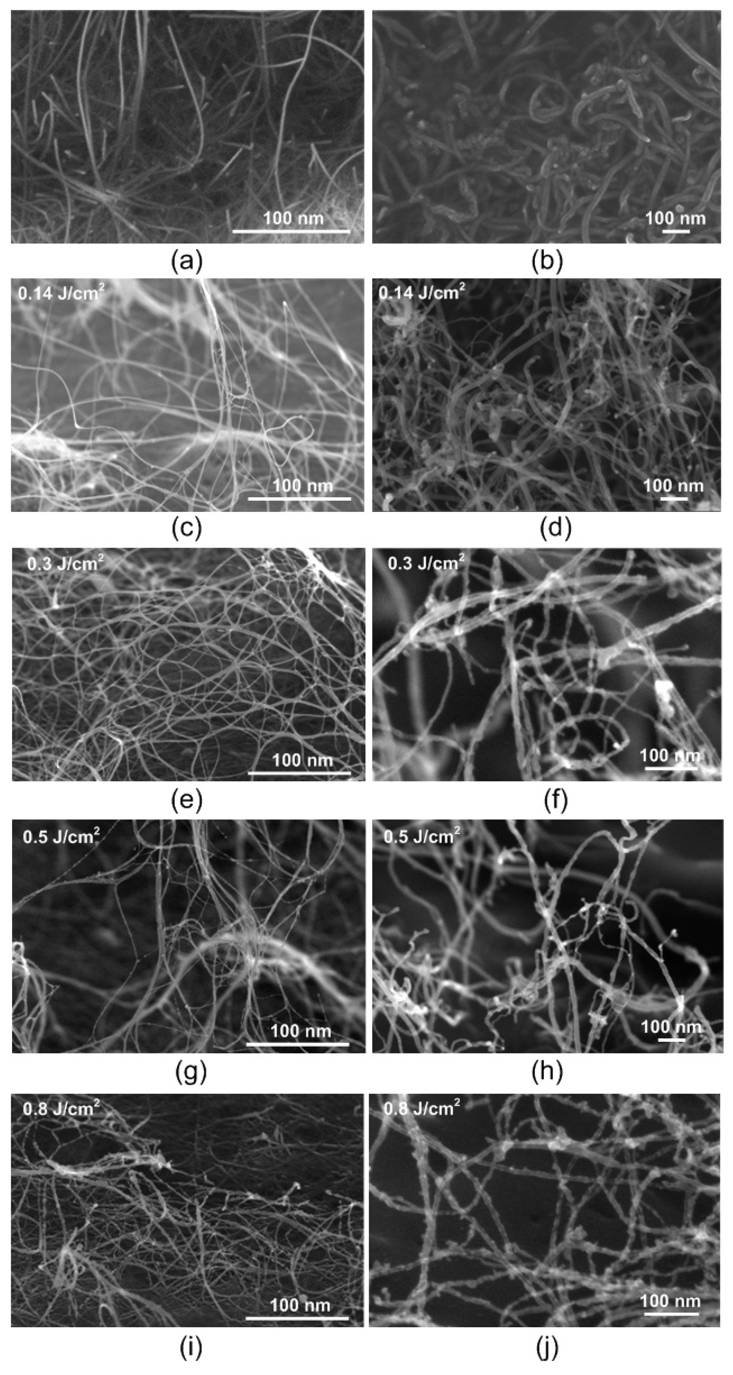 Nanomaterials 11 01875 g005 Nanomaterials 11 01875 g005
