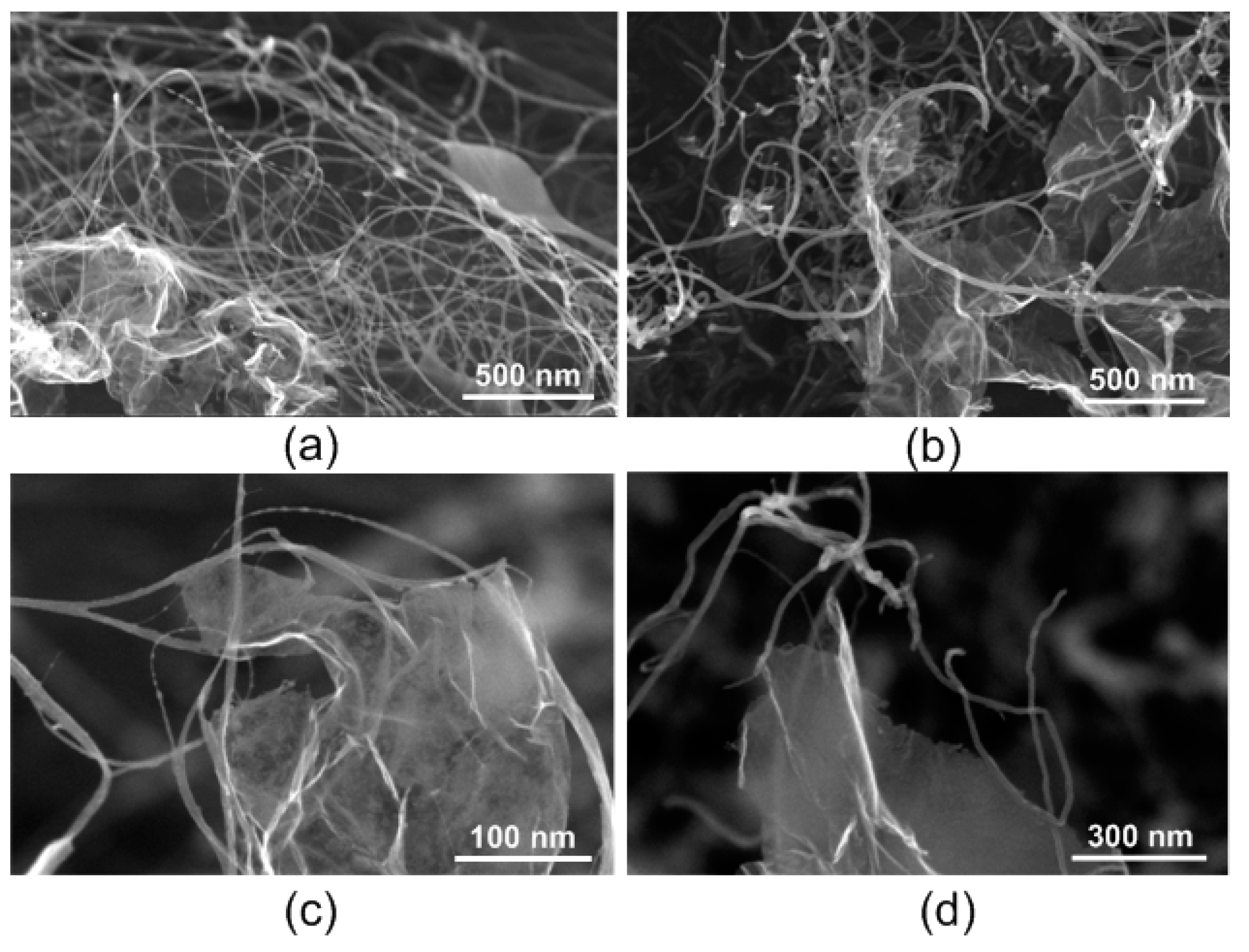 Nanomaterials 11 01875 g006 Nanomaterials 11 01875 g006