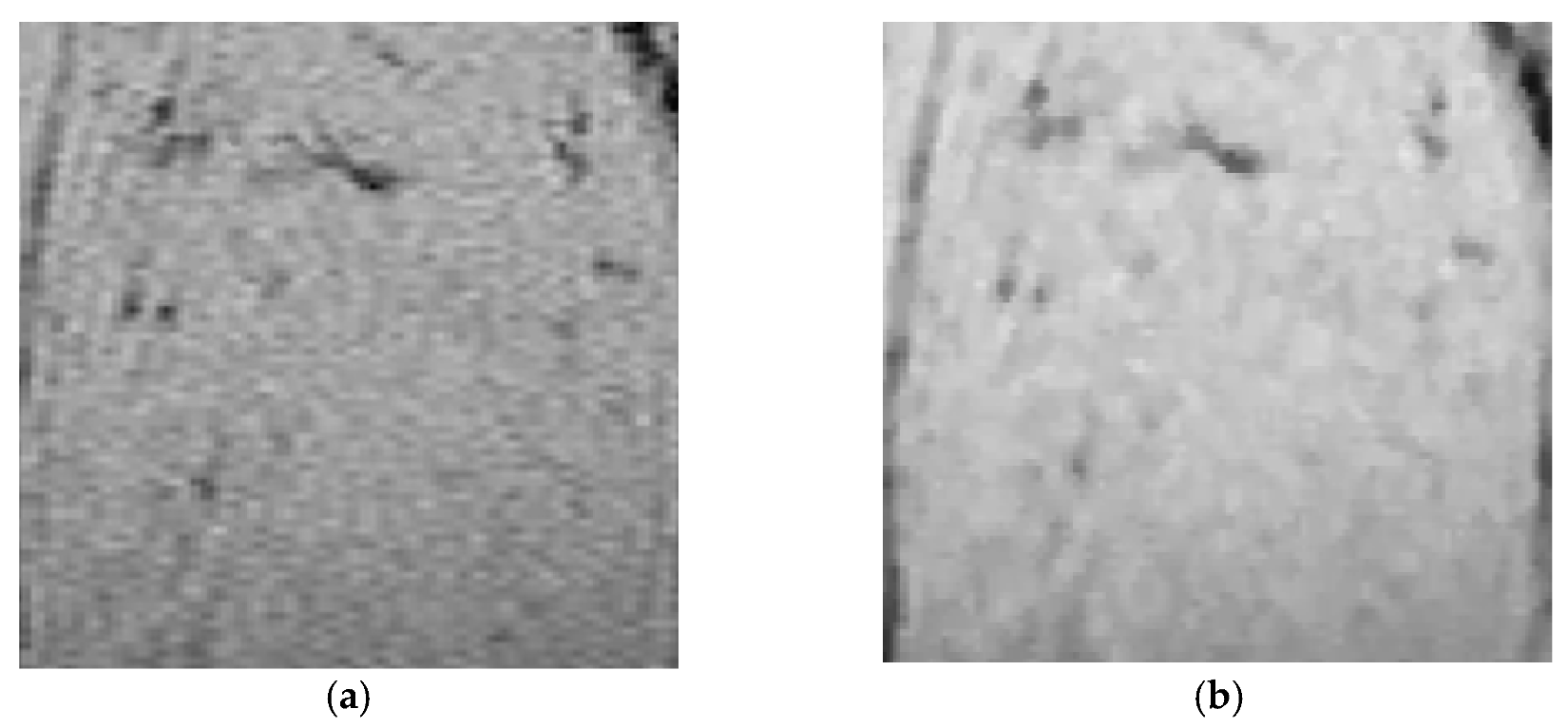 Nanomaterials 11 01876 g002