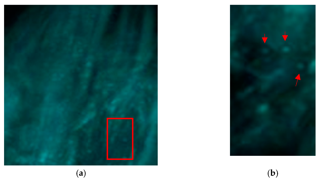 Nanomaterials 11 01876 g004