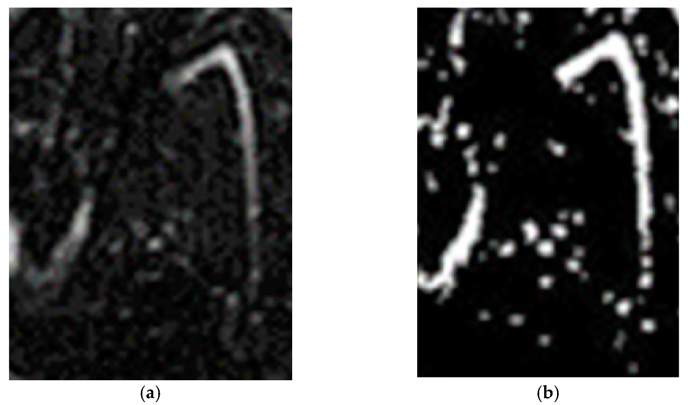 Nanomaterials 11 01876 g005a