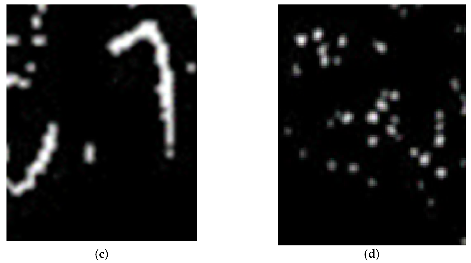 Nanomaterials 11 01876 g005b