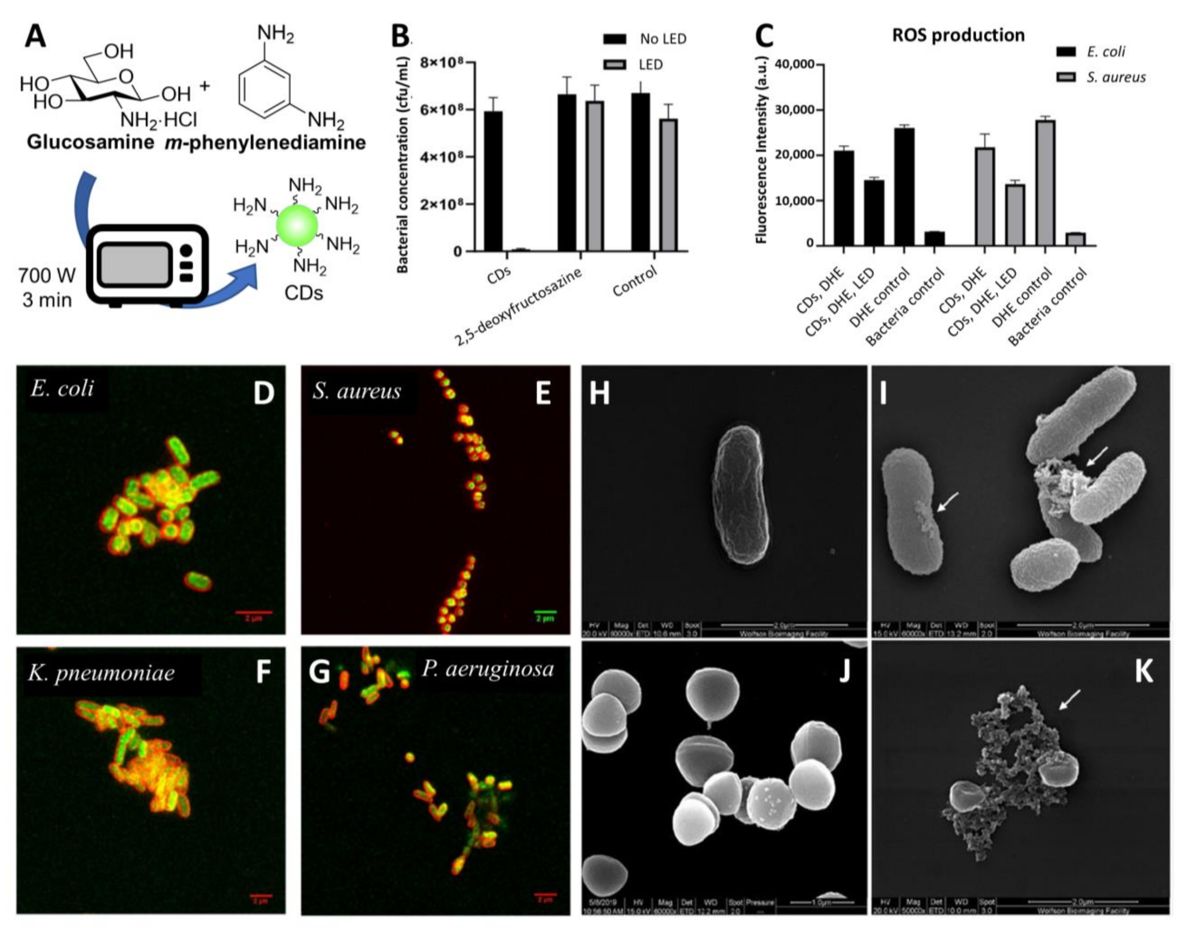 Nanomaterials 11 01877 g003