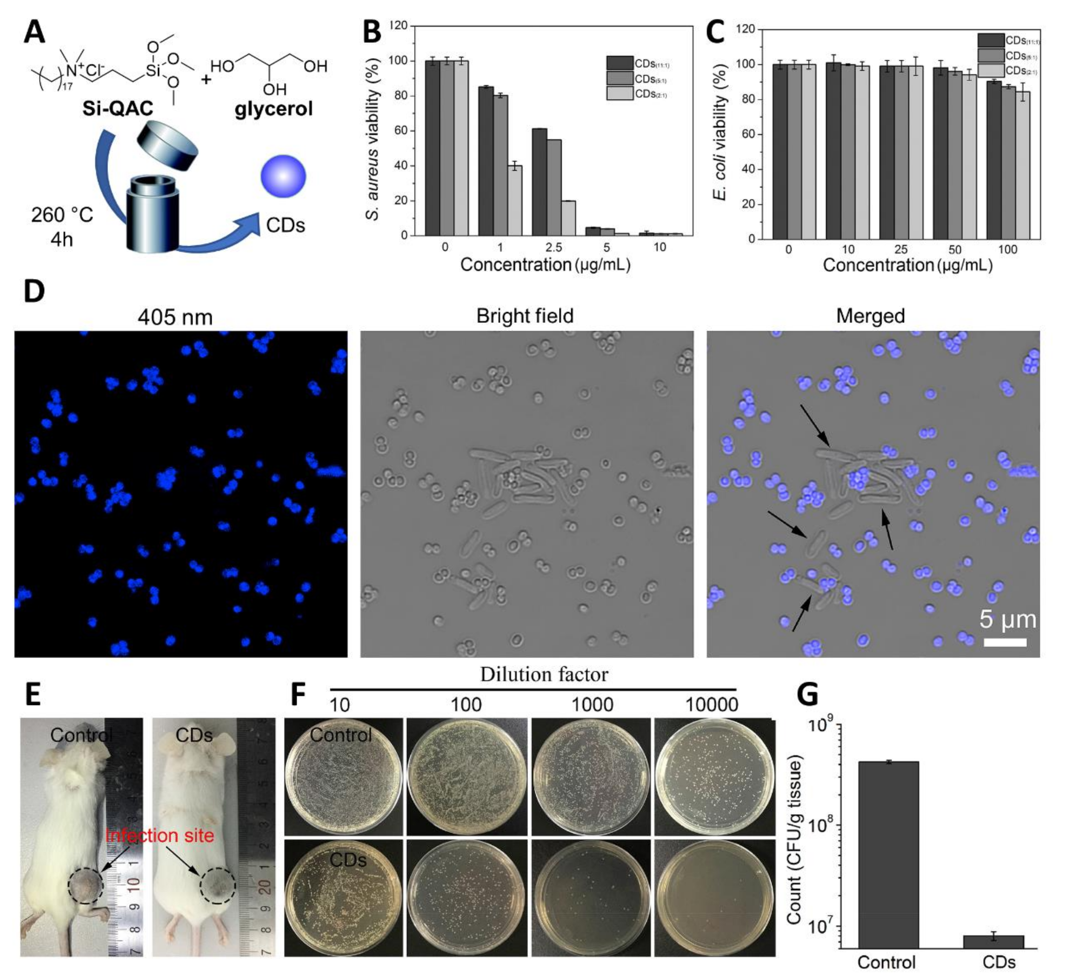 Nanomaterials 11 01877 g004
