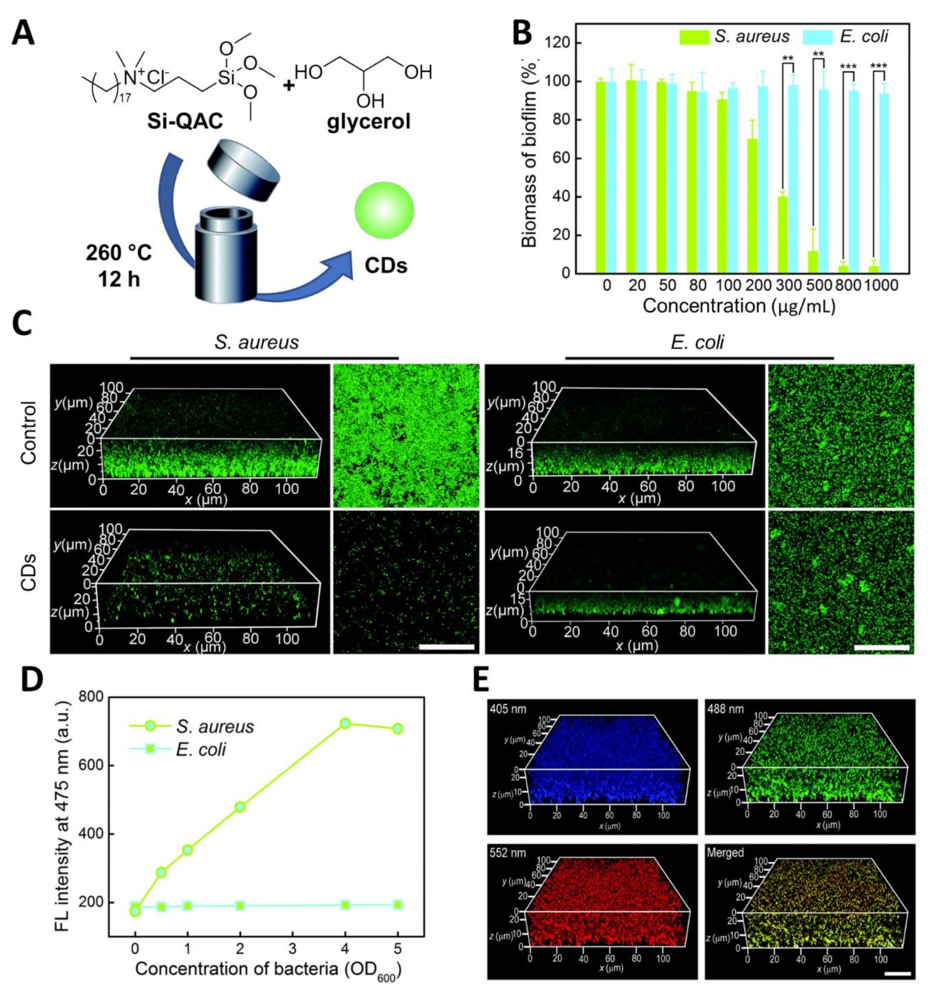 Nanomaterials 11 01877 g005