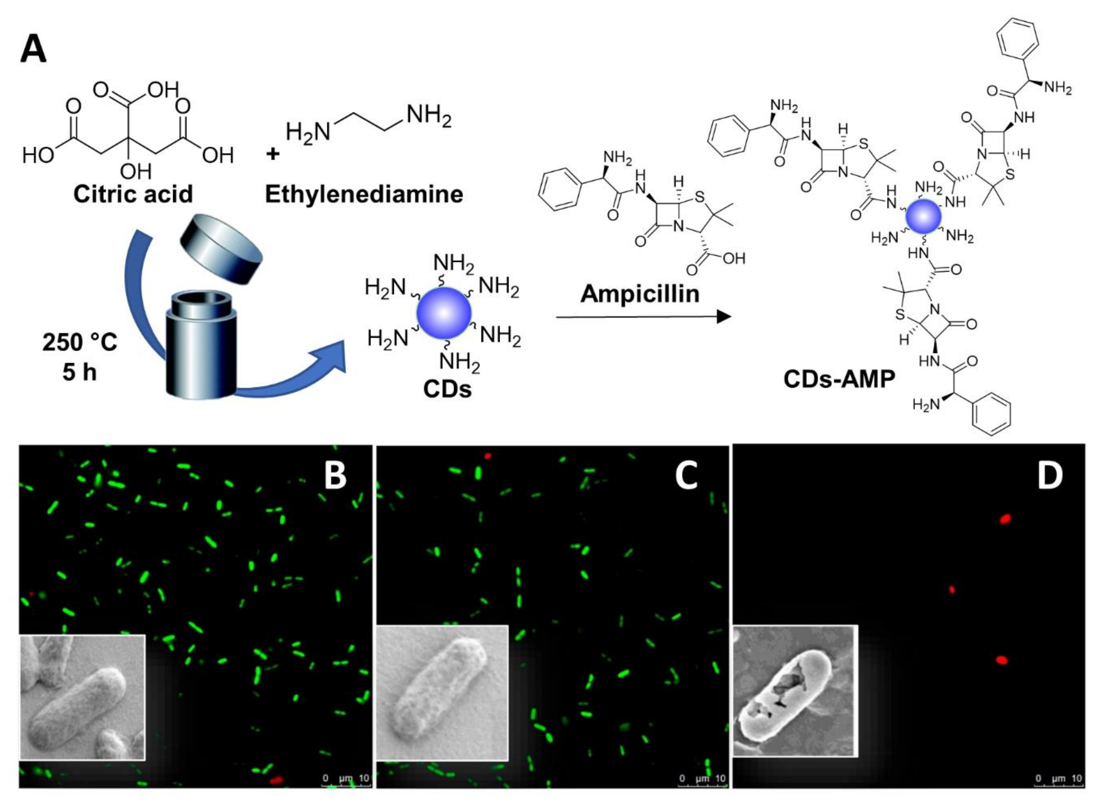 Nanomaterials 11 01877 g007