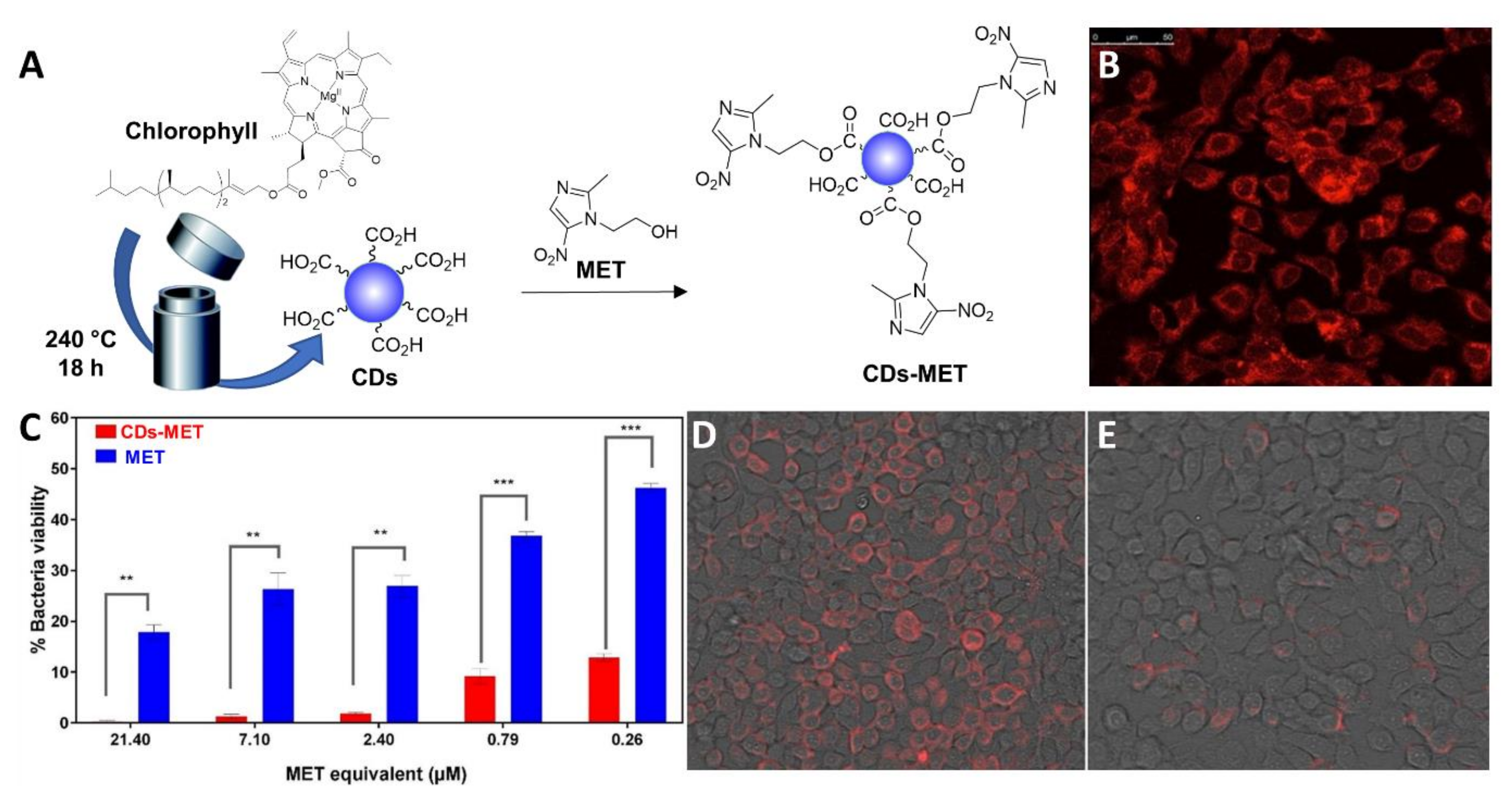 Nanomaterials 11 01877 g008