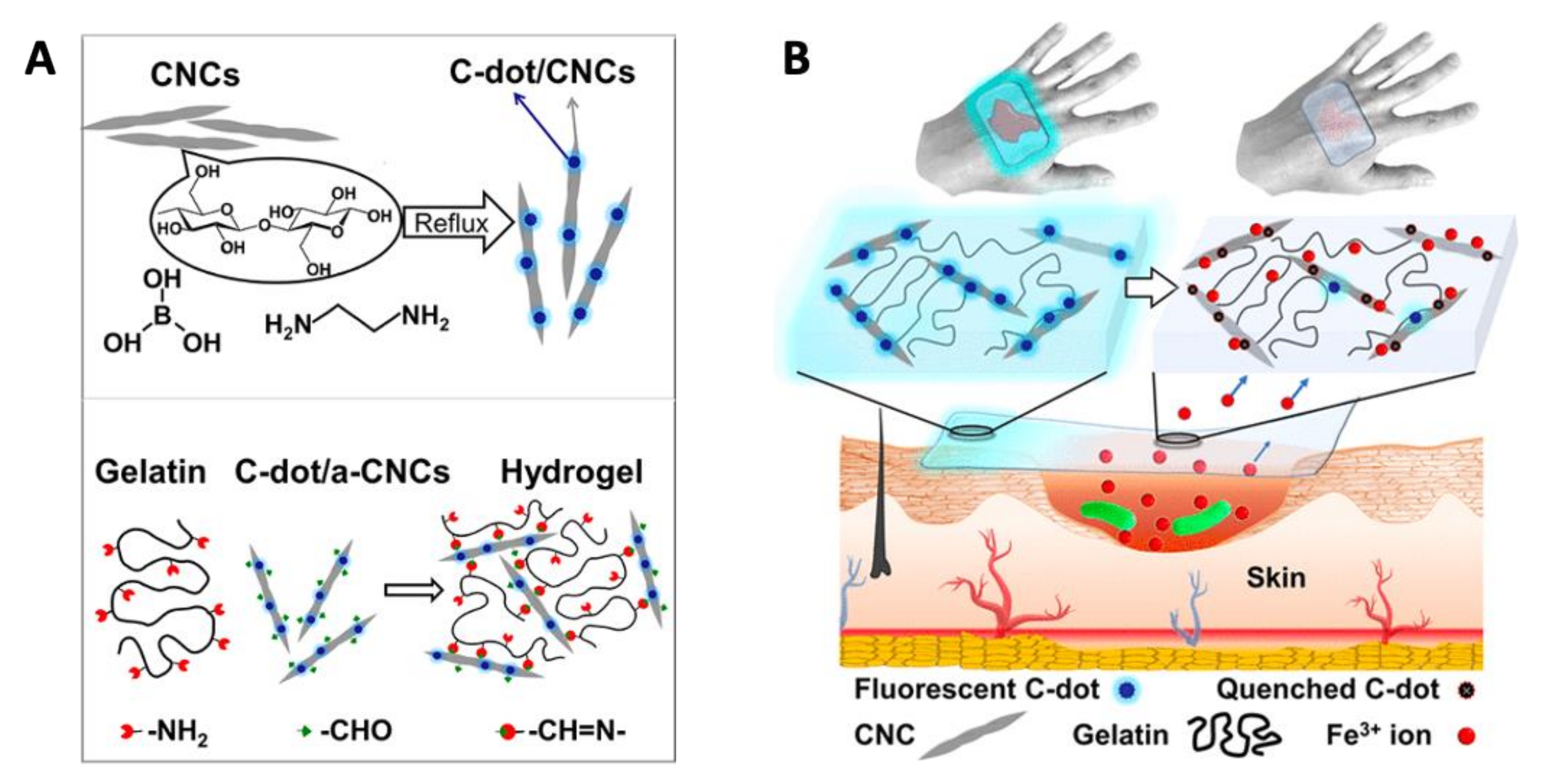 Nanomaterials 11 01877 g009