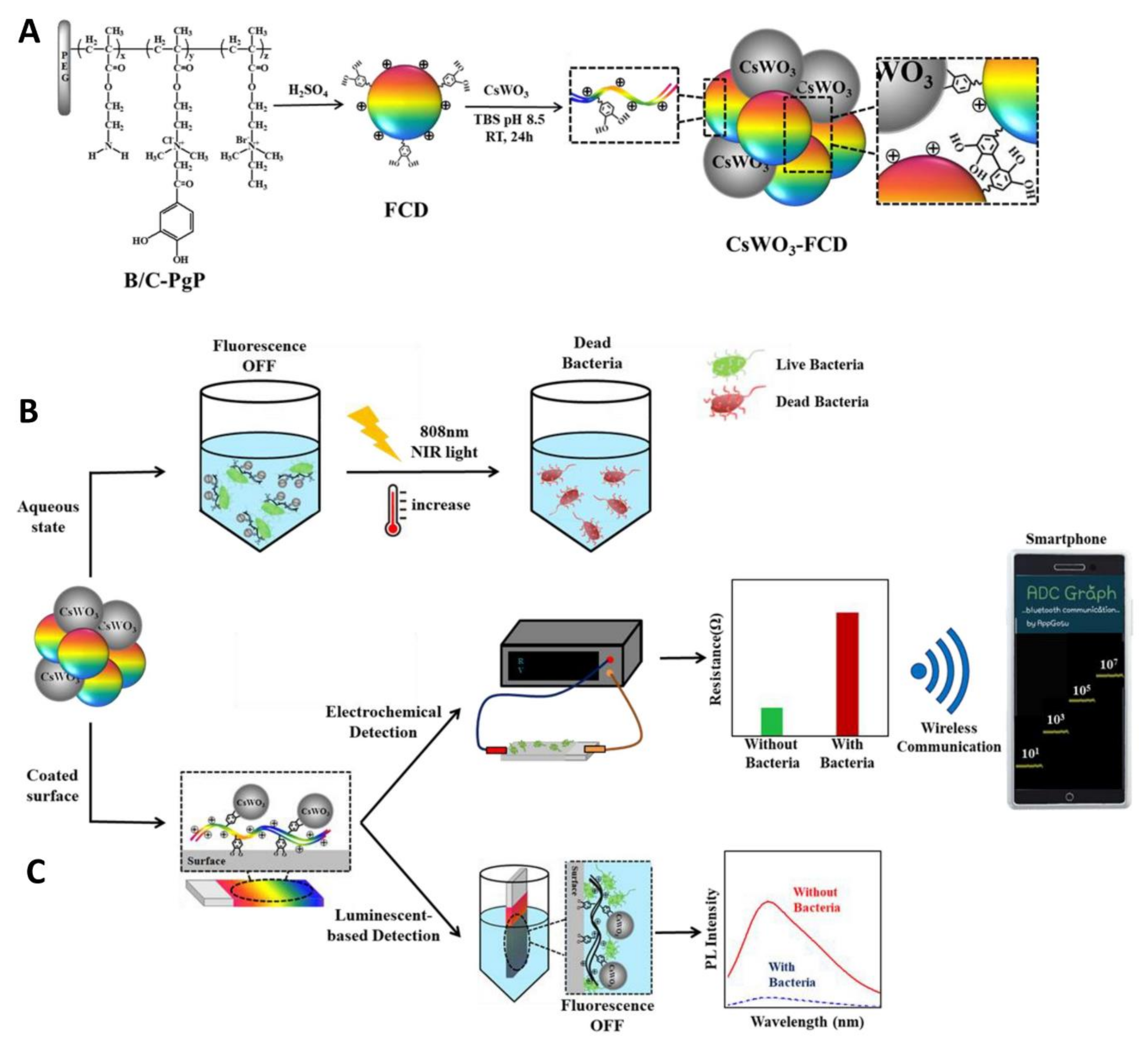 Nanomaterials 11 01877 g010