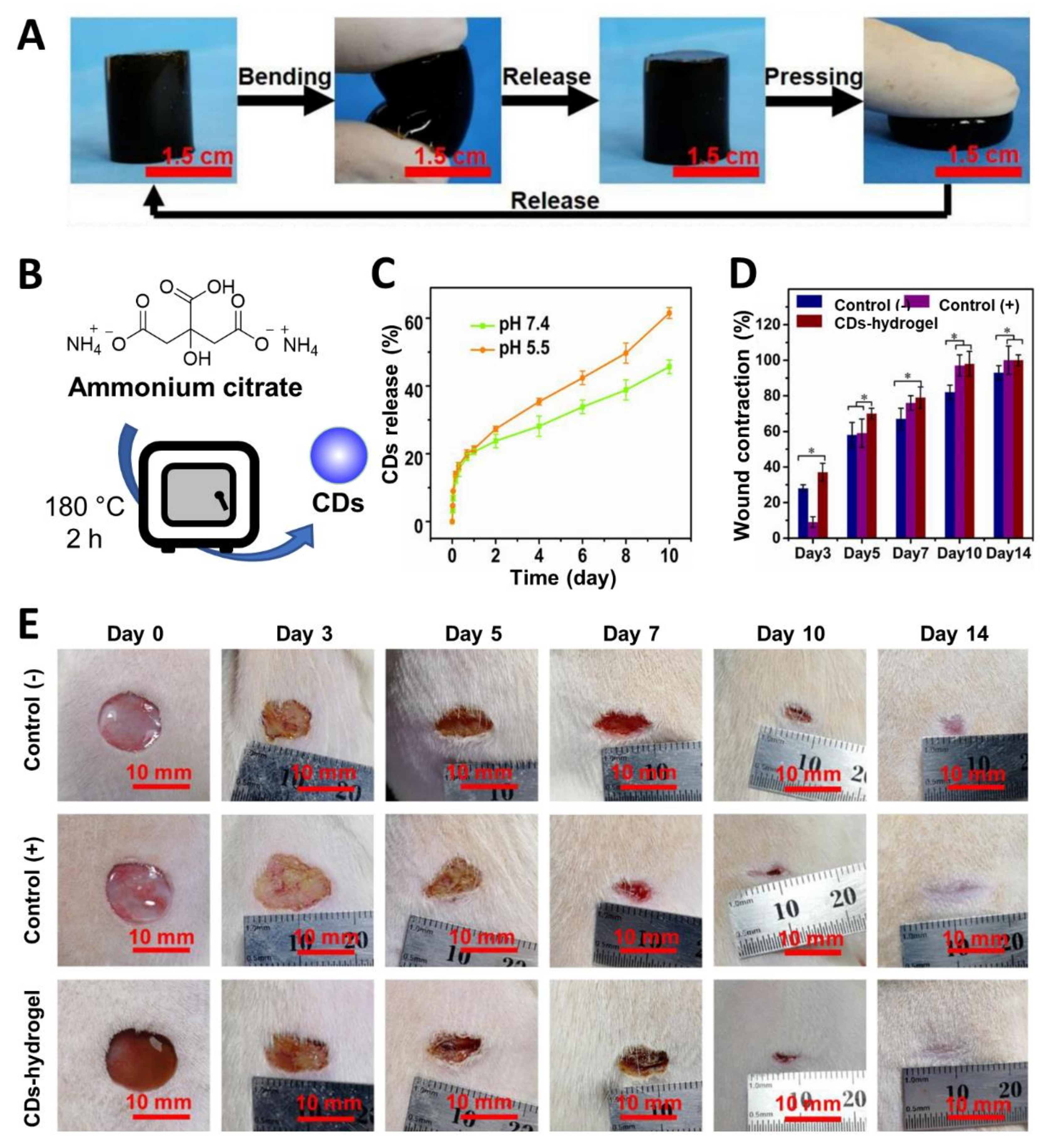 Nanomaterials 11 01877 g011
