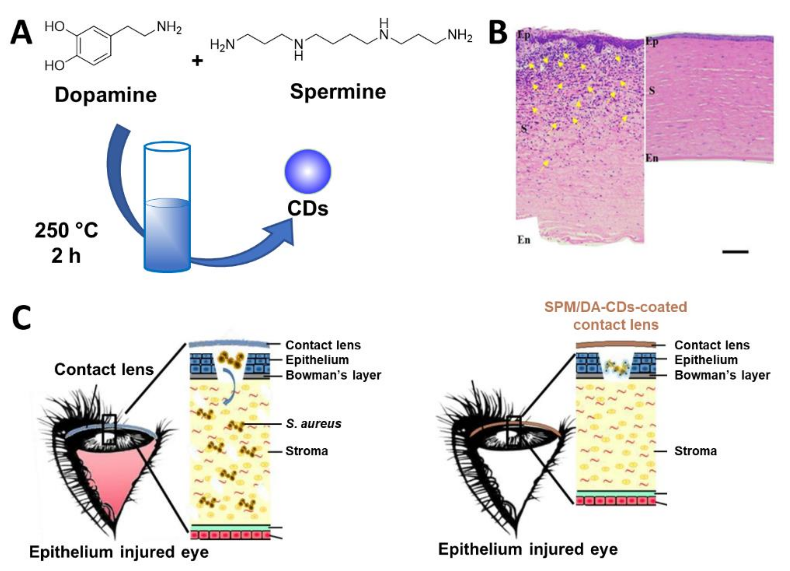 Nanomaterials 11 01877 g012