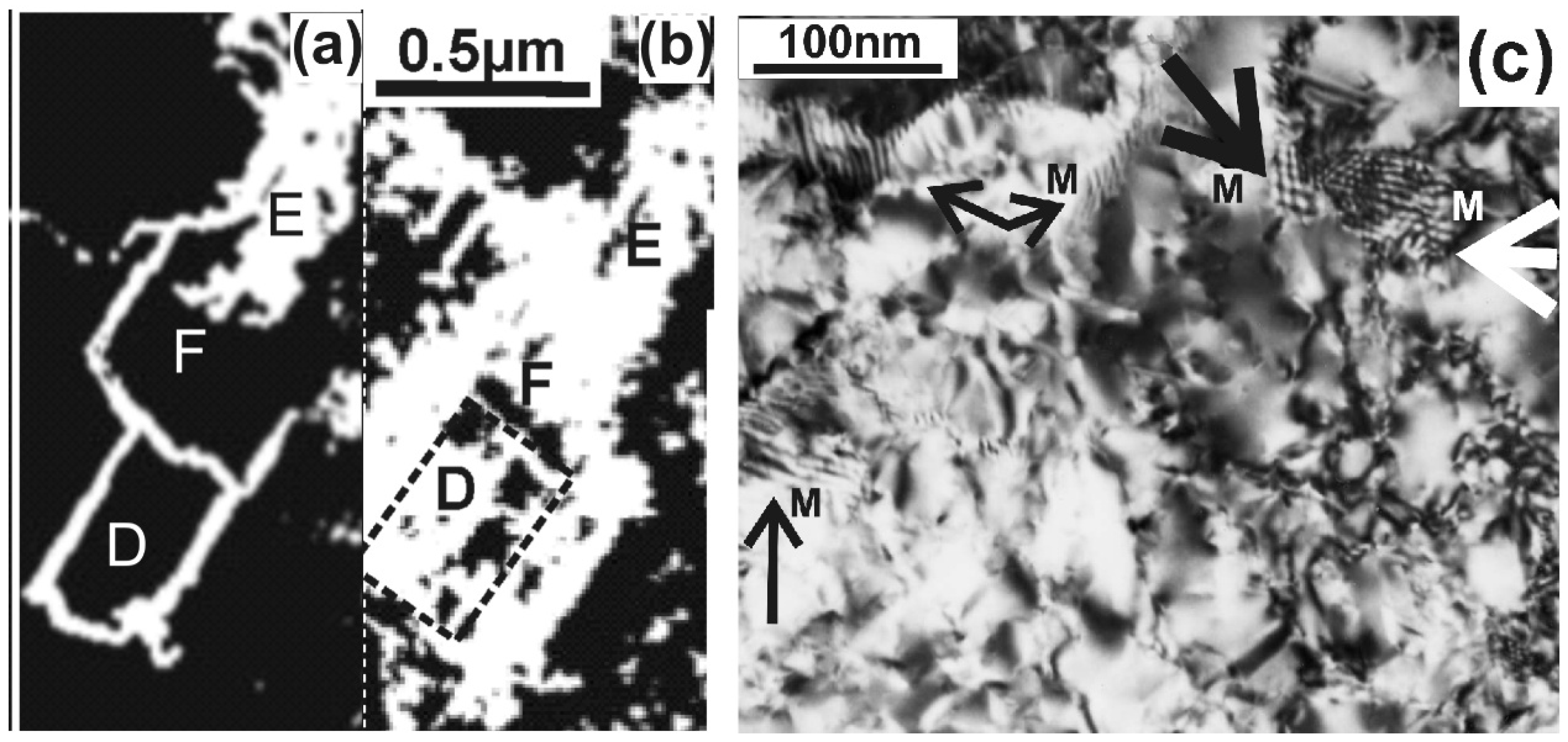 Nanomaterials 11 01878 g002