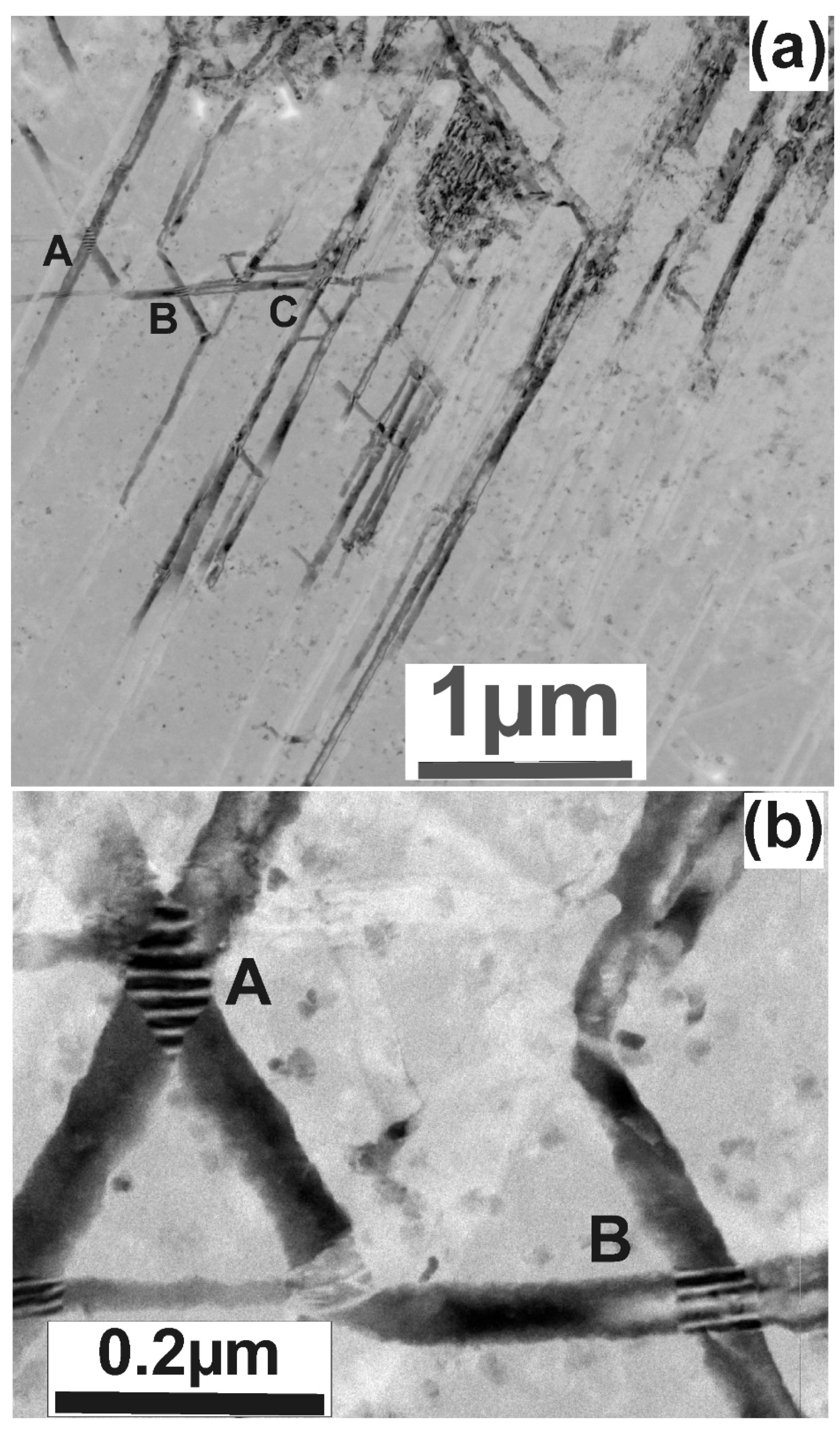 Nanomaterials 11 01878 g004