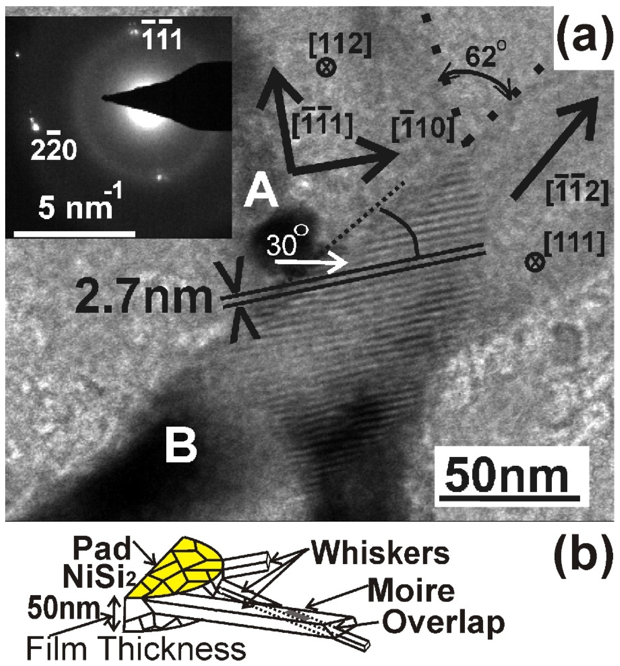 Nanomaterials 11 01878 g005