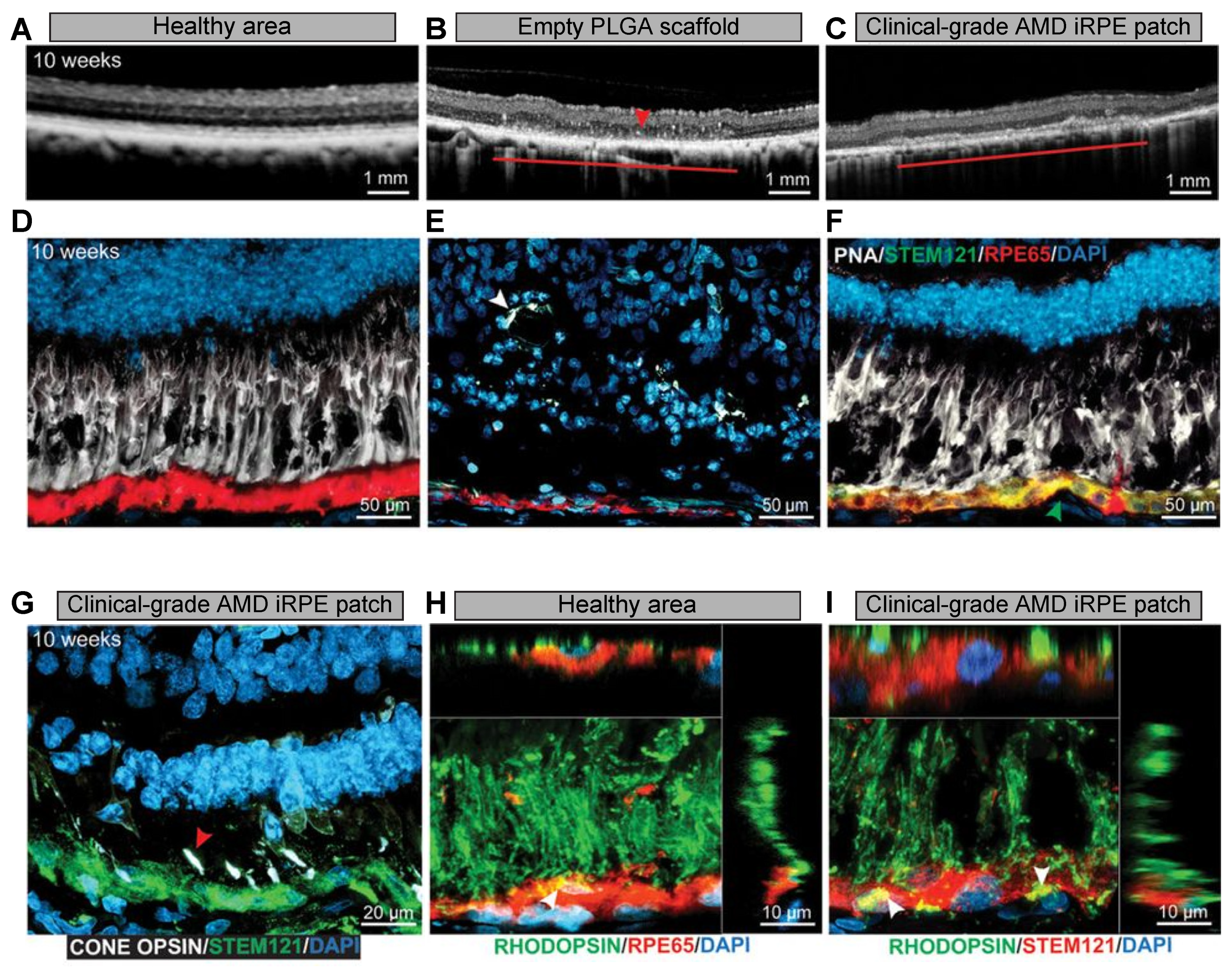 Nanomaterials 11 01880 g006