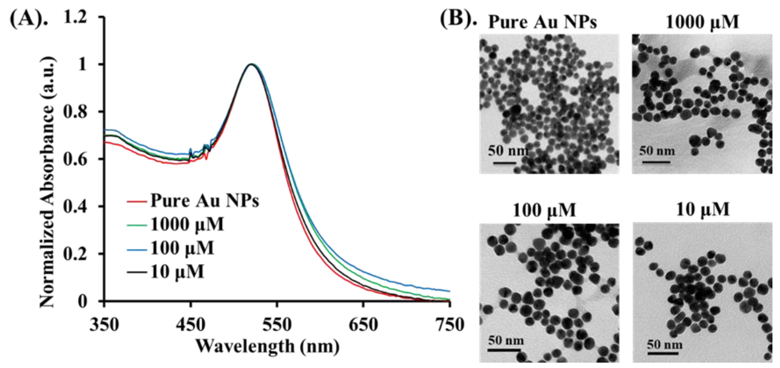 Nanomaterials 11 01887 g003