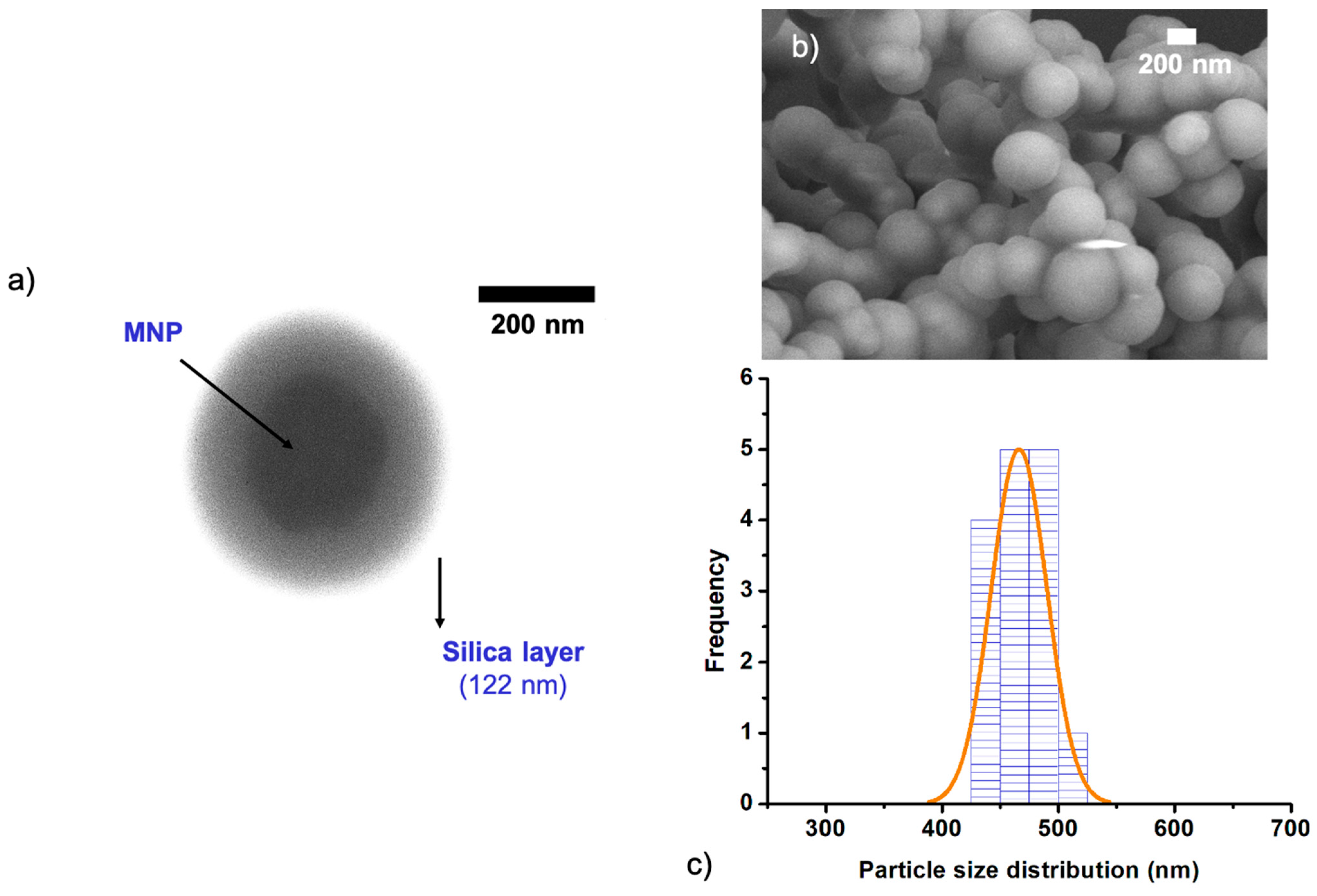 Nanomaterials 11 01889 g007